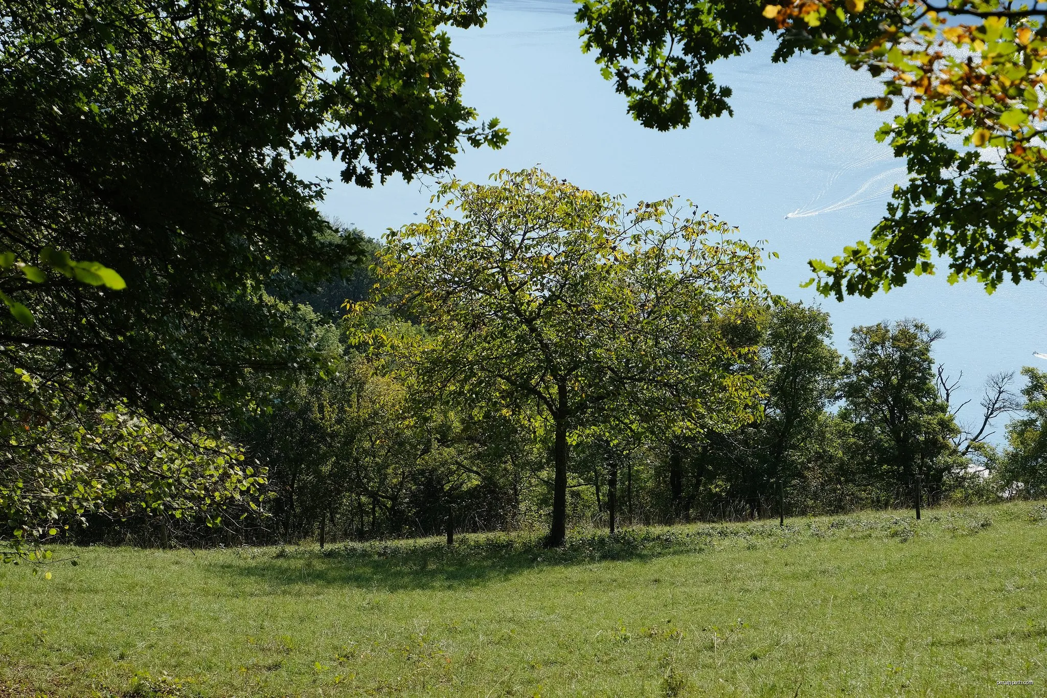 Trail 6