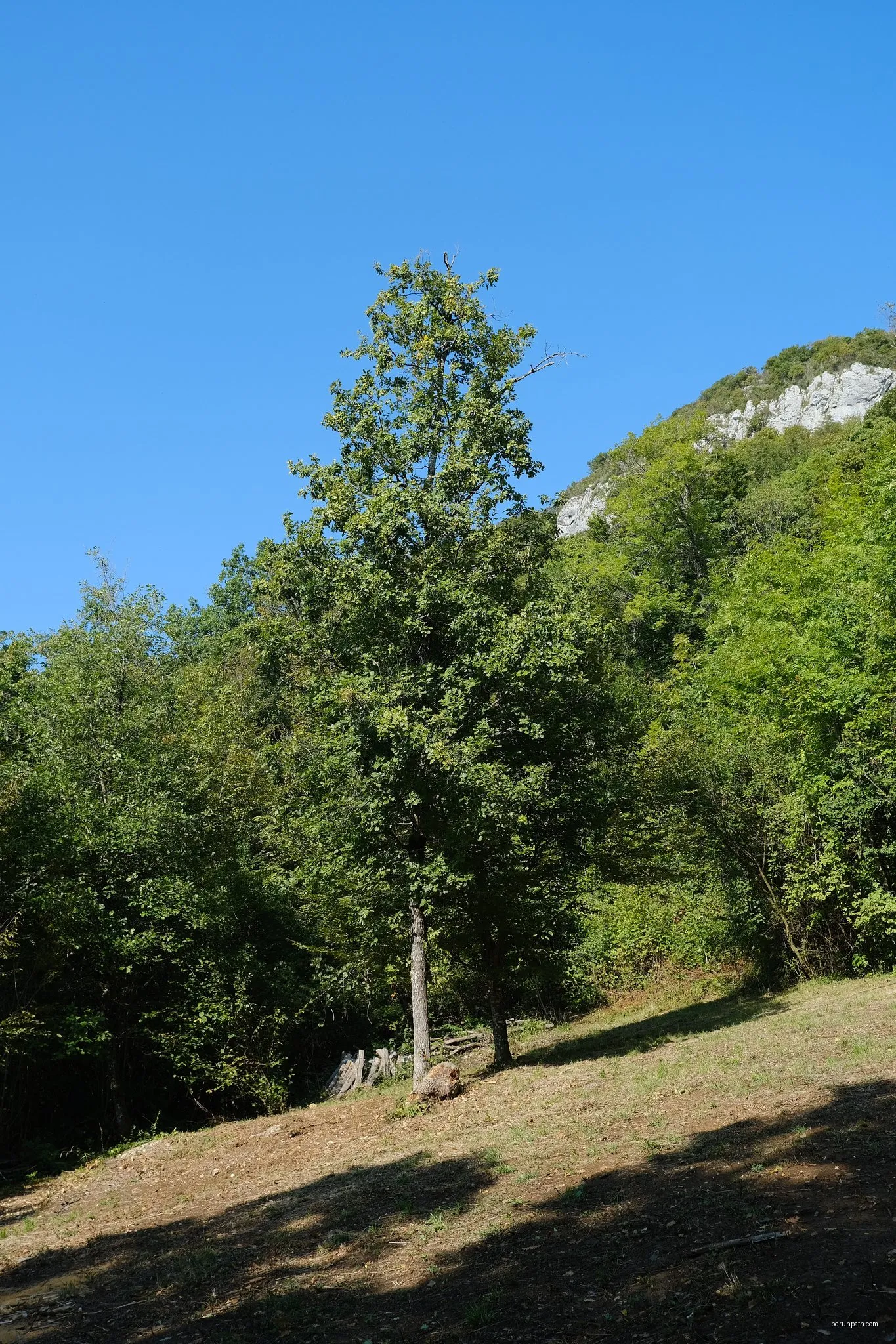 Savoie Rando Lac à VTT - Accès