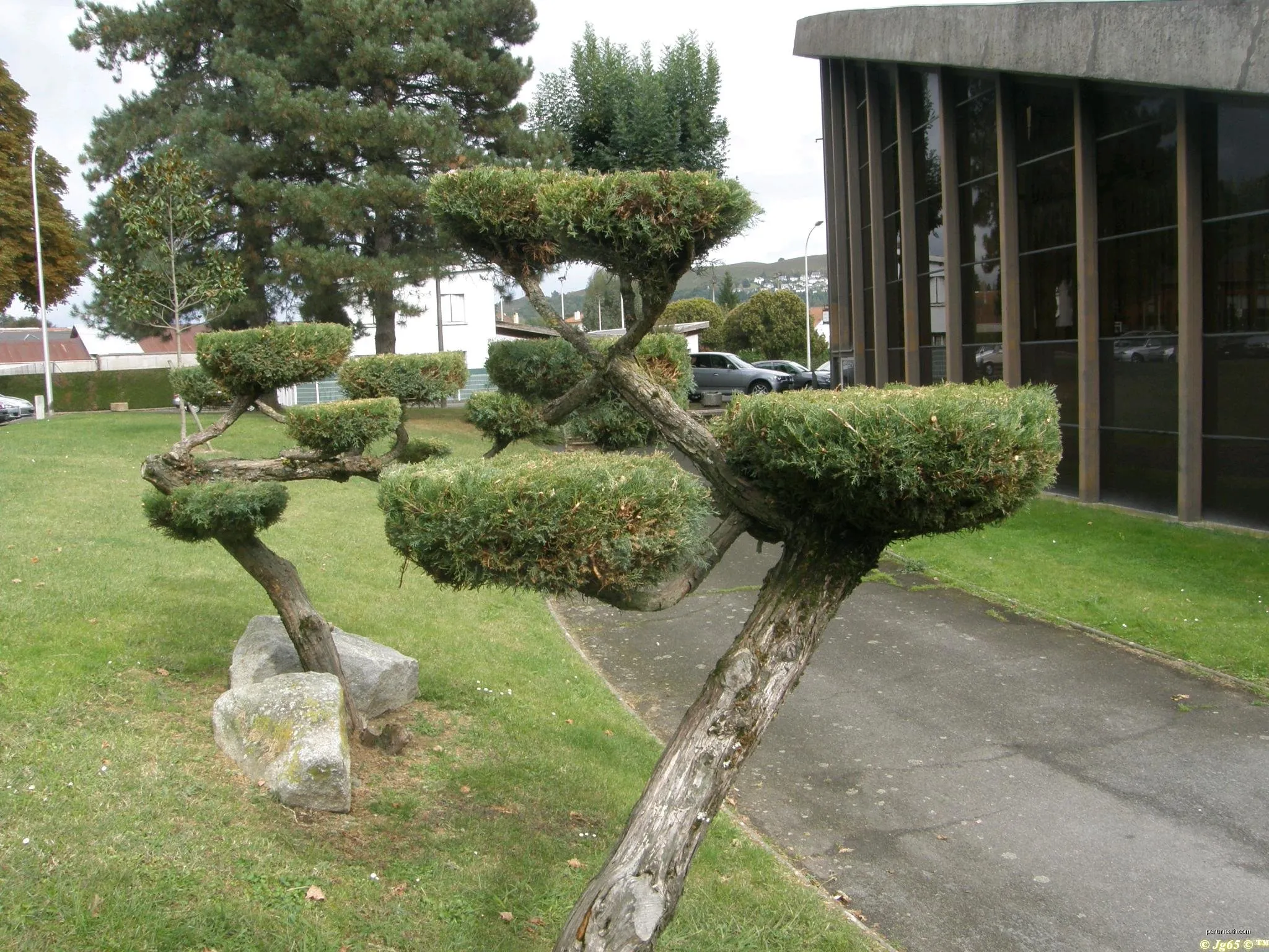 Le Chemin Vert (Tarbes - Lourdes)