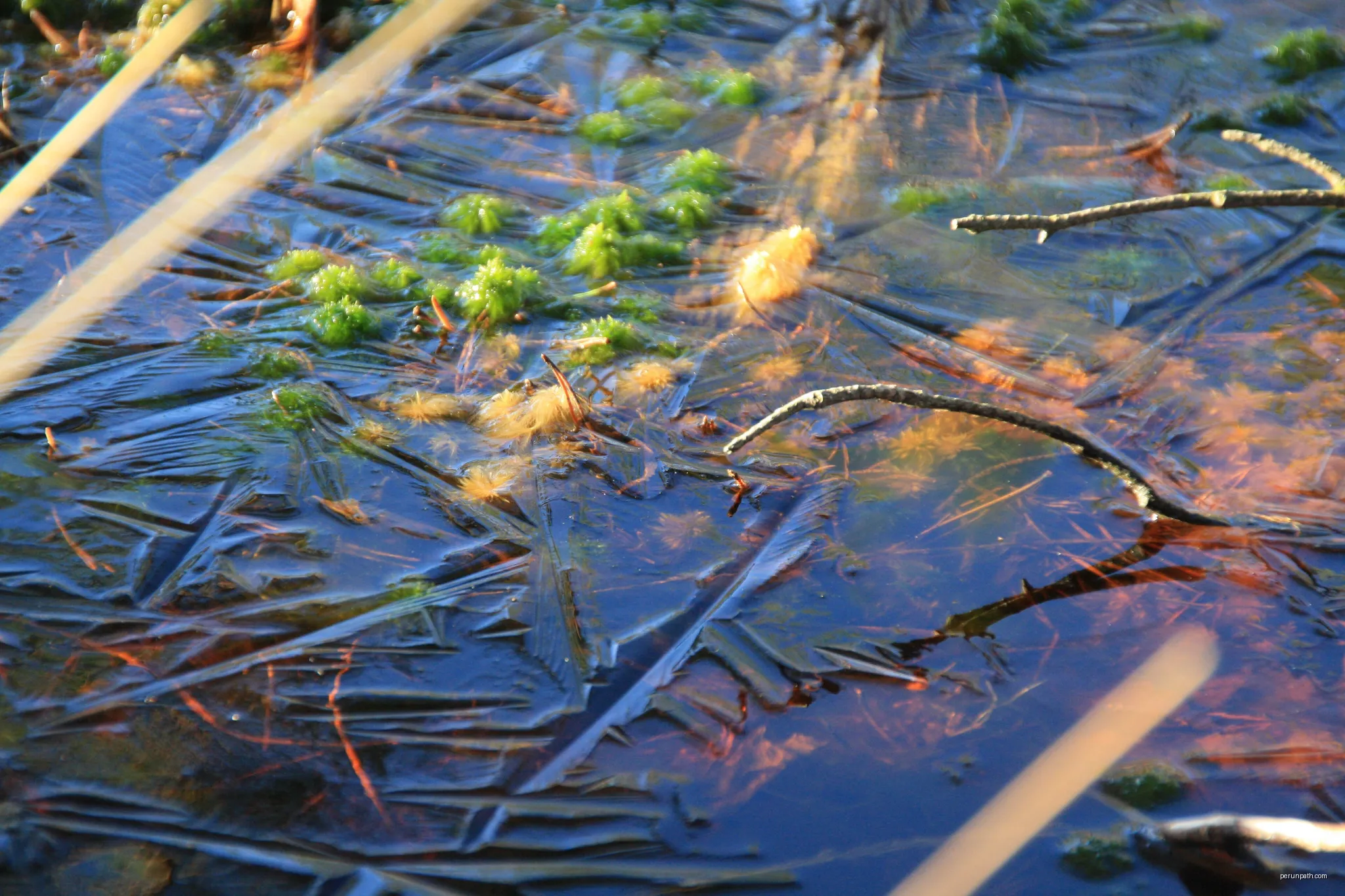 Moorerlebnispfad Grundloses Moor