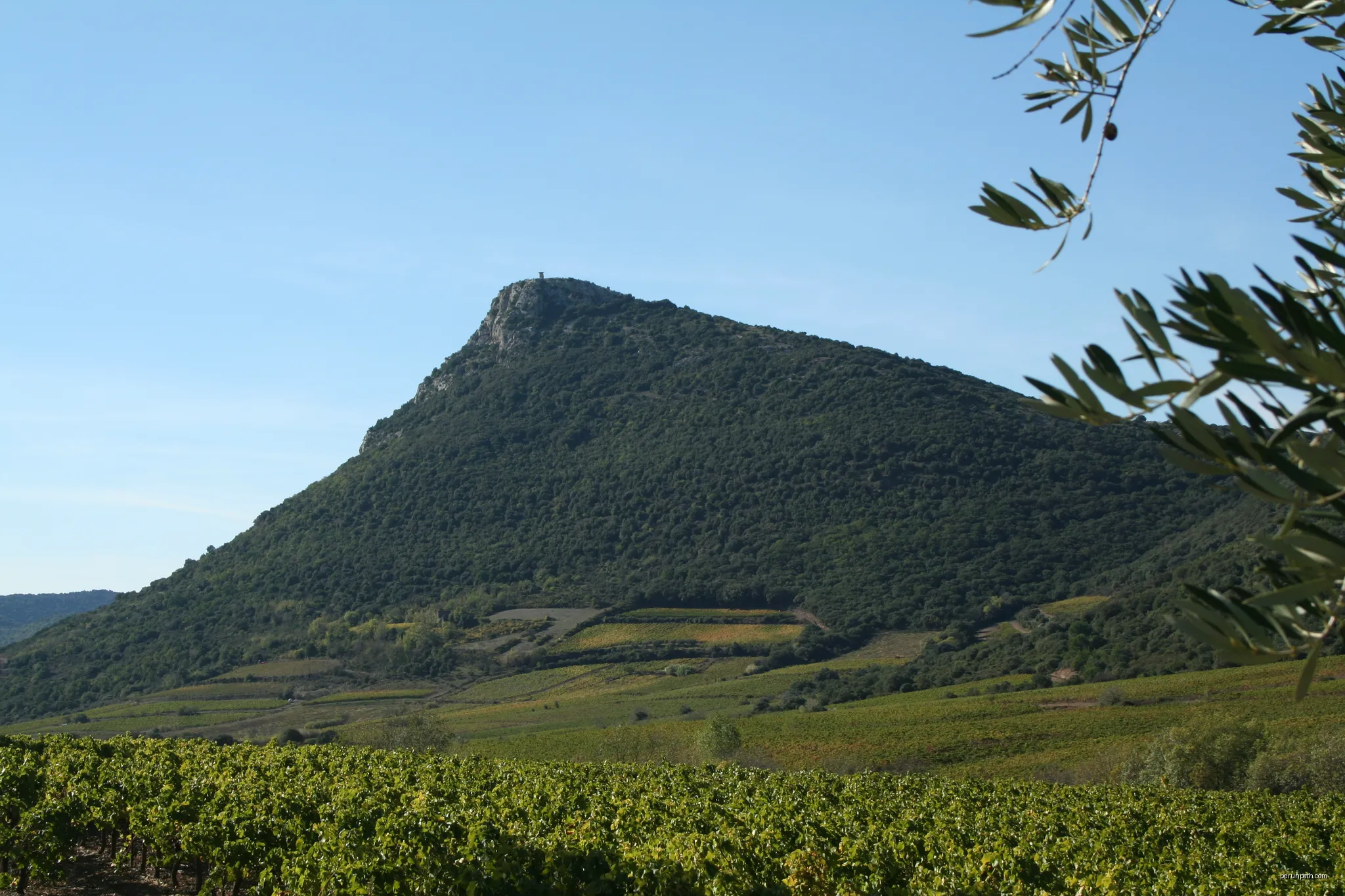 Cabrières (Hérault) - Pic de Vissou (480 m). | Autor: Fagairolles 34 | Licencja: CC BY-SA 4.0 | Źródło: Wikimedia Commons