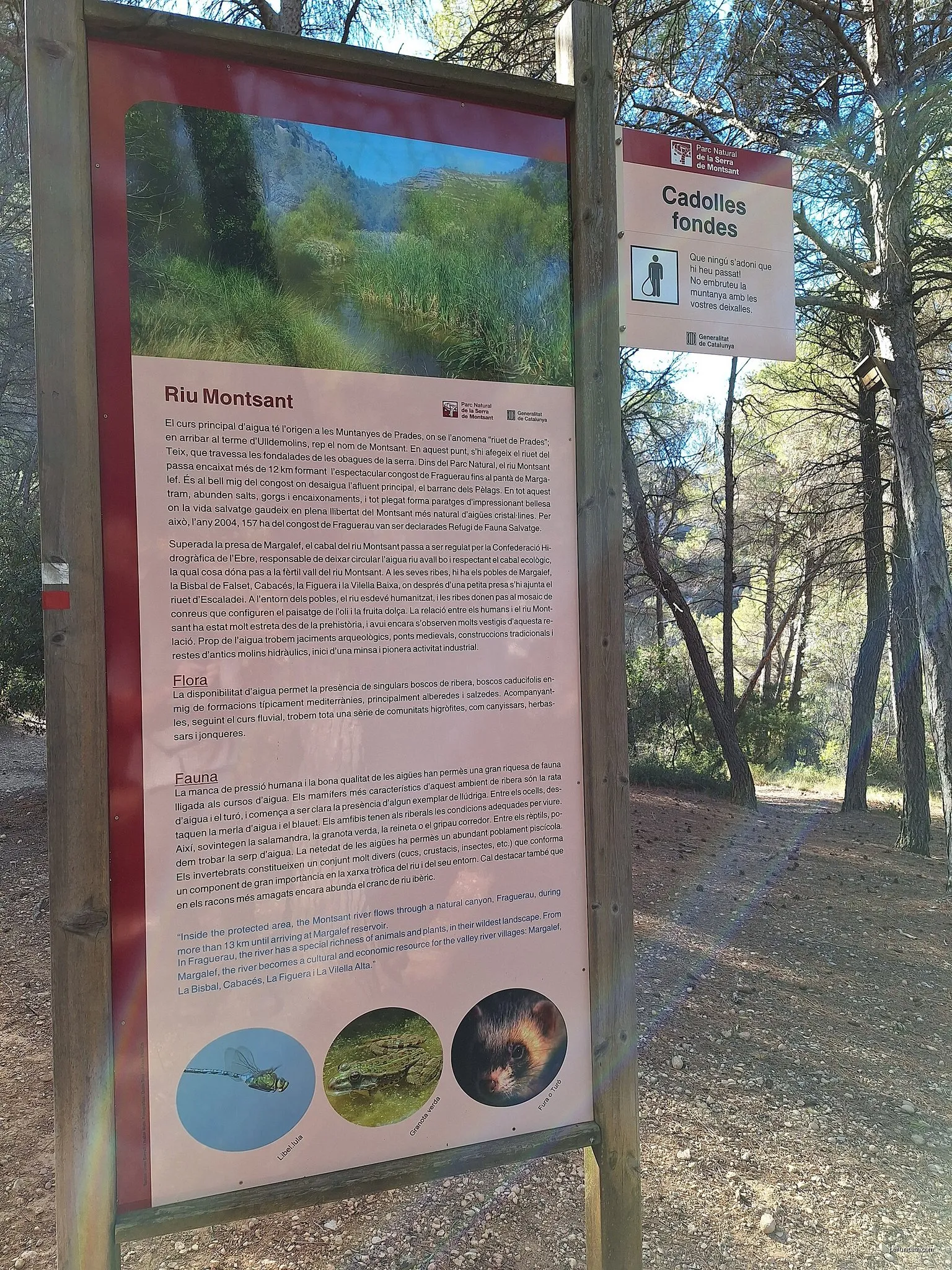 L'ànima de Montsant
