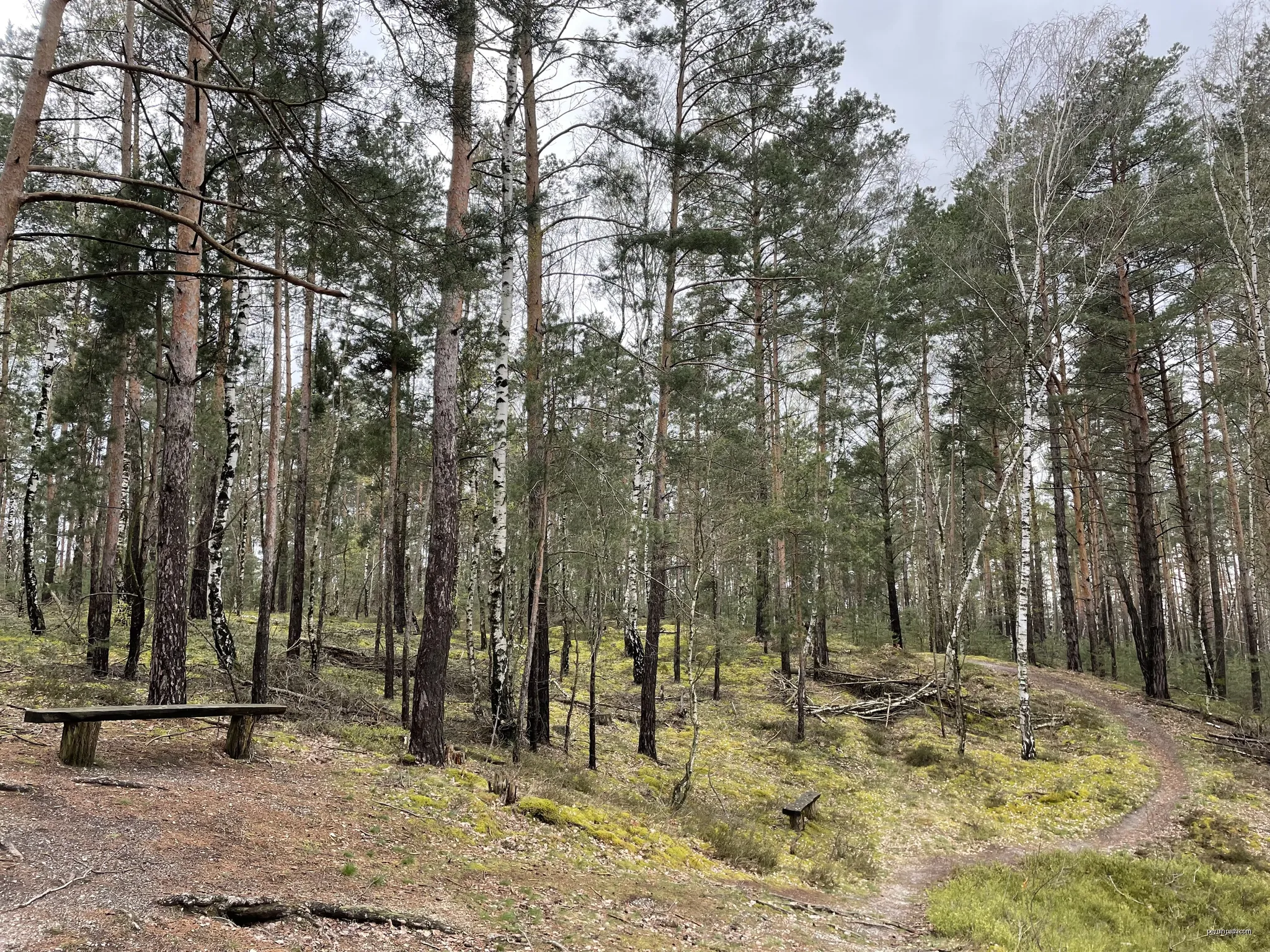 Wanderweg Pliskendorf - Kuhringsberg