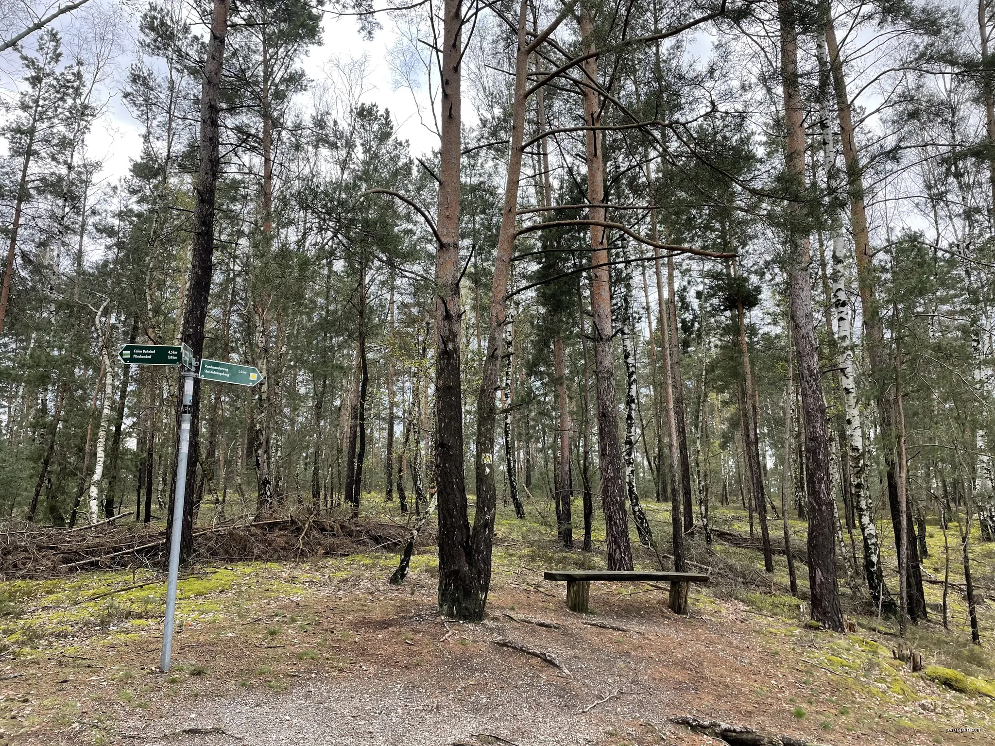 Kuhringsberg, 151,1m hohe Erhebung bei Calau, Brandenburg | Autor: Assenmacher | Licencja: CC BY-SA 4.0 | Źródło: Wikimedia Commons