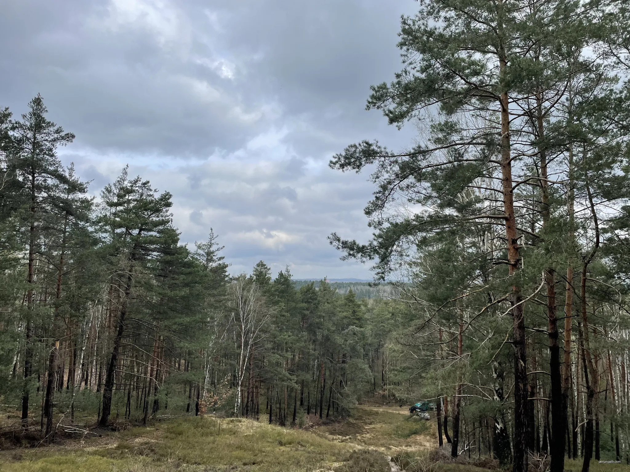 Kuhringsberg, 151,1m hohe Erhebung bei Calau, Brandenburg | Autor: Assenmacher | Licencja: CC BY-SA 4.0 | Źródło: Wikimedia Commons