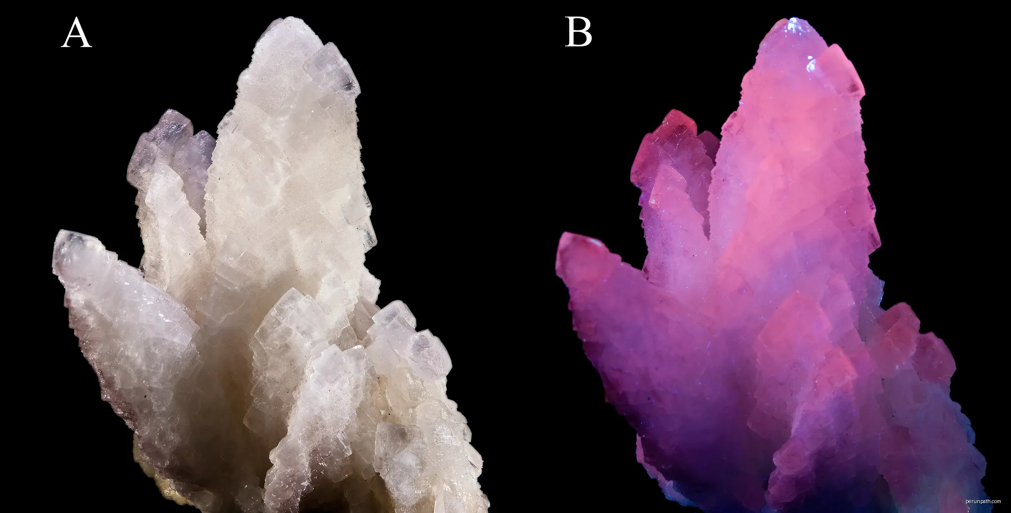 Calcite - Batere Mine Pyrénées Orientales France (8x6cm) A:Daylight B:Ultraviolet light | Autor: Didier Descouens | Licencja: CC BY-SA 4.0 | Źródło: Wikimedia Commons