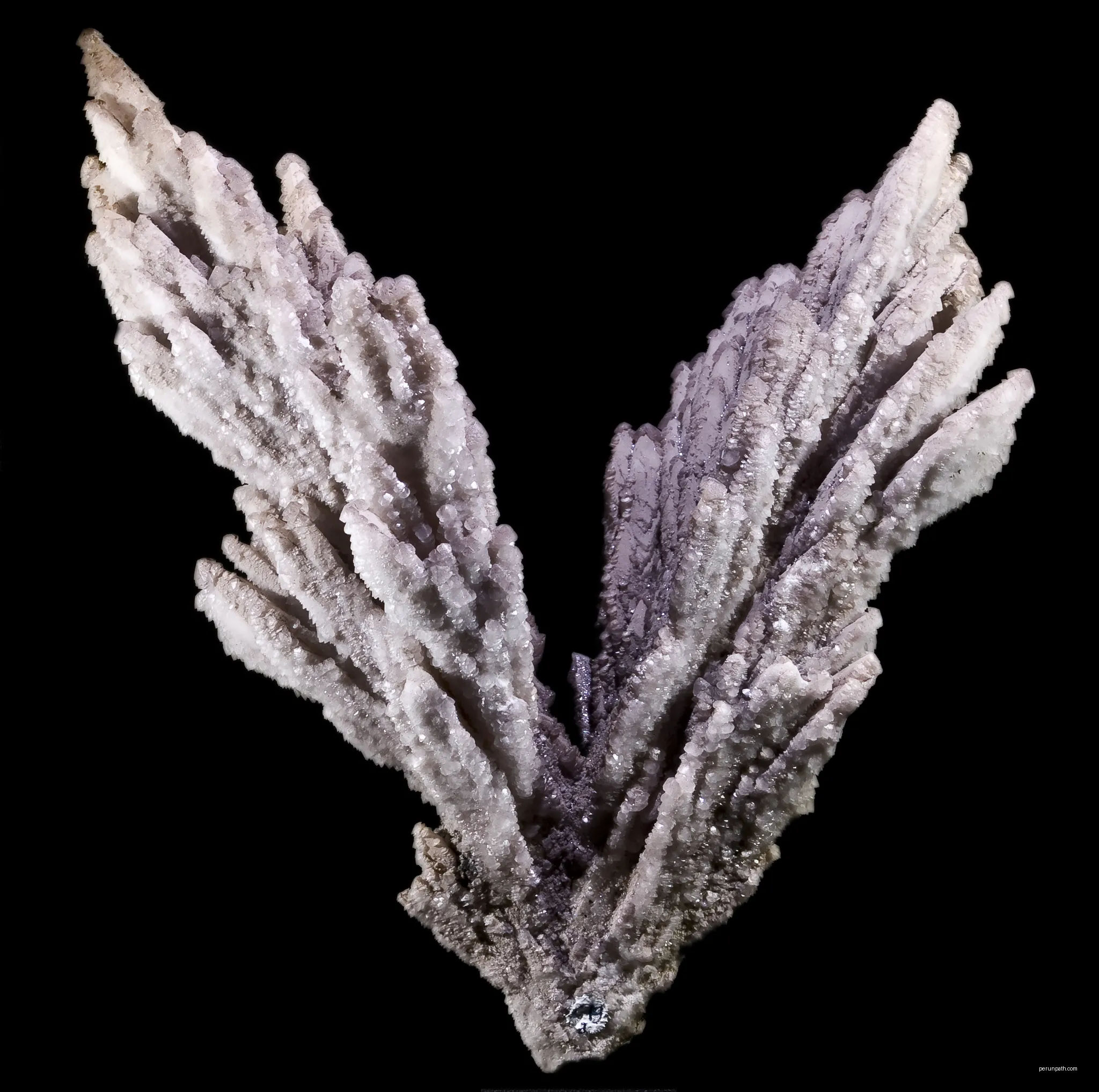 Calcite - Polysynthetic twin
Locality : Batère Mine, Pyrénées Orientales France
Size (17x13cm) | Autor: Didier Descouens | Licencja: CC BY-SA 4.0 | Źródło: Wikimedia Commons