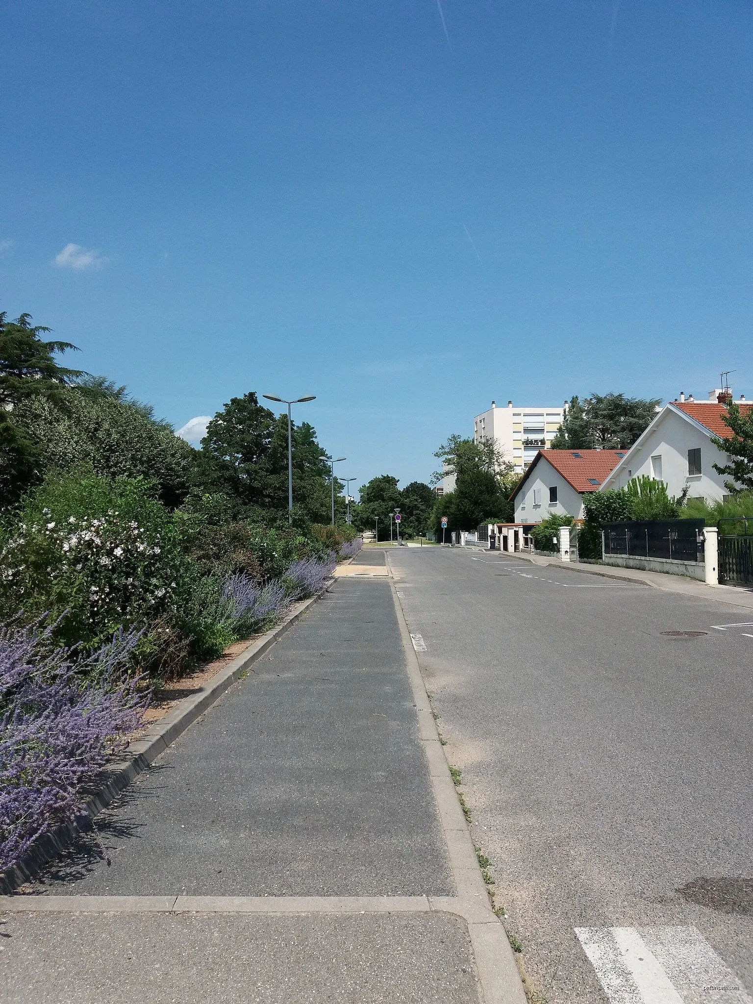 Voie de la Dombes