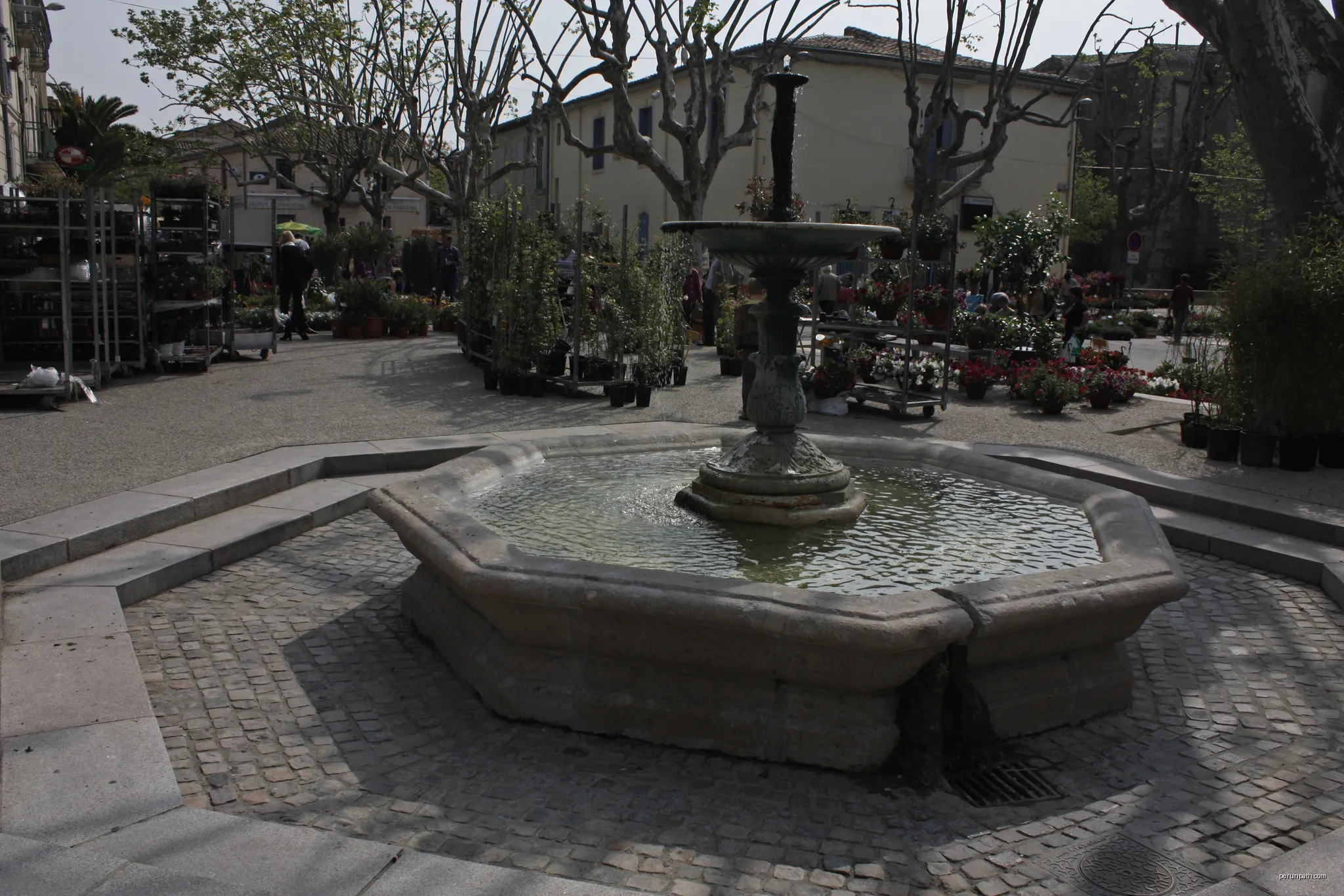 La balade du Coucou