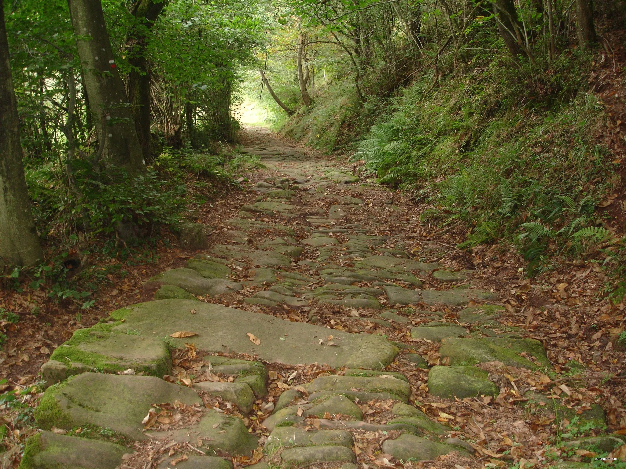 Camino del Besaya: Cantabria
