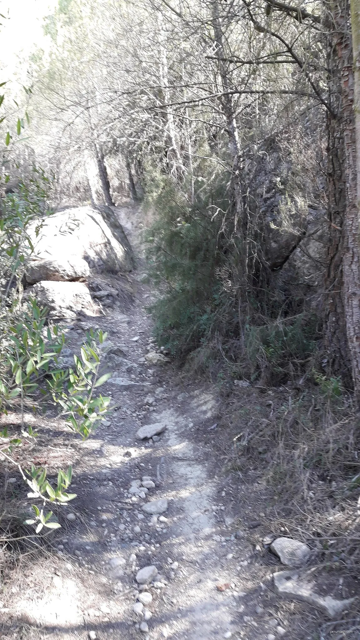 A Sant Jaume de Vallhonesta pel camí dels Maquis