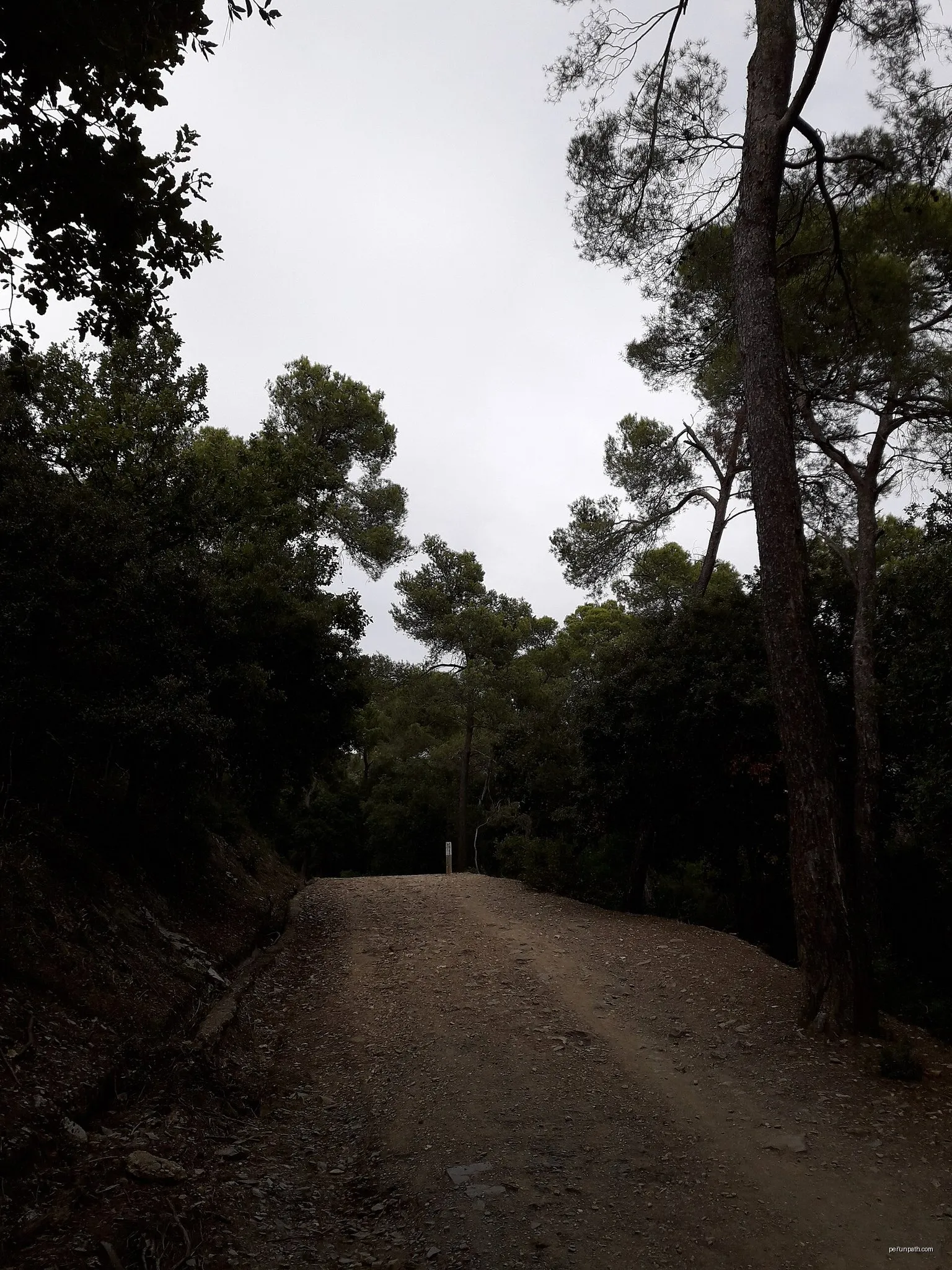 Passejada per la serra d'en Cardona