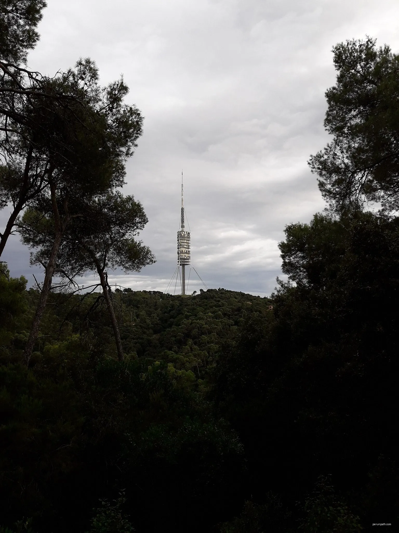 Passejada per la serra d'en Cardona