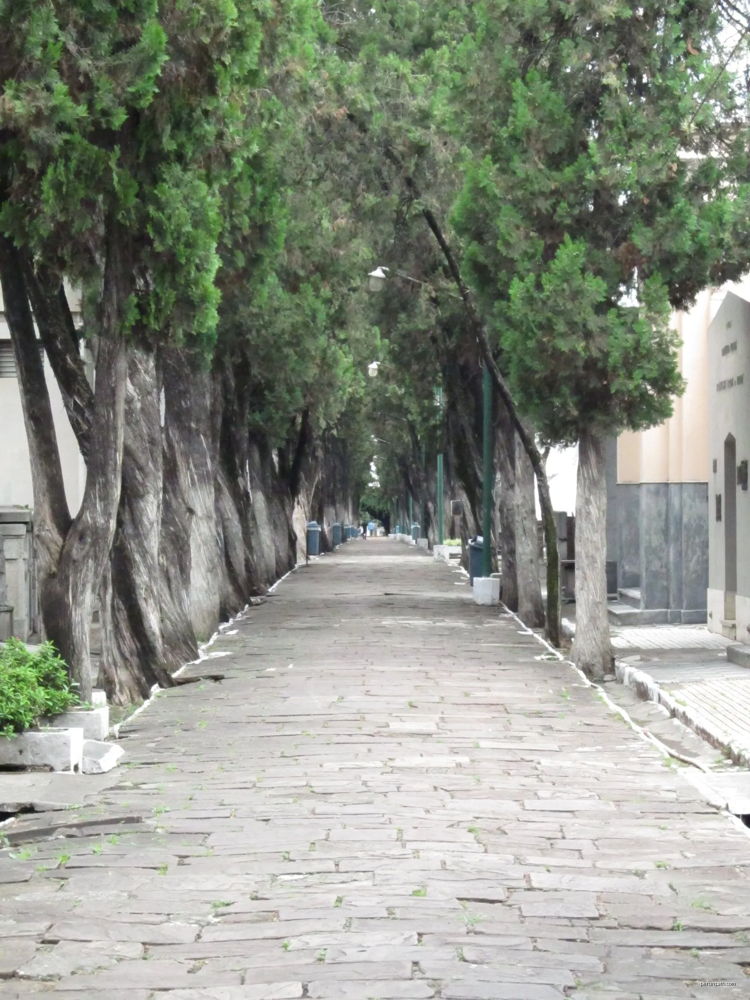 Camino de la Mora