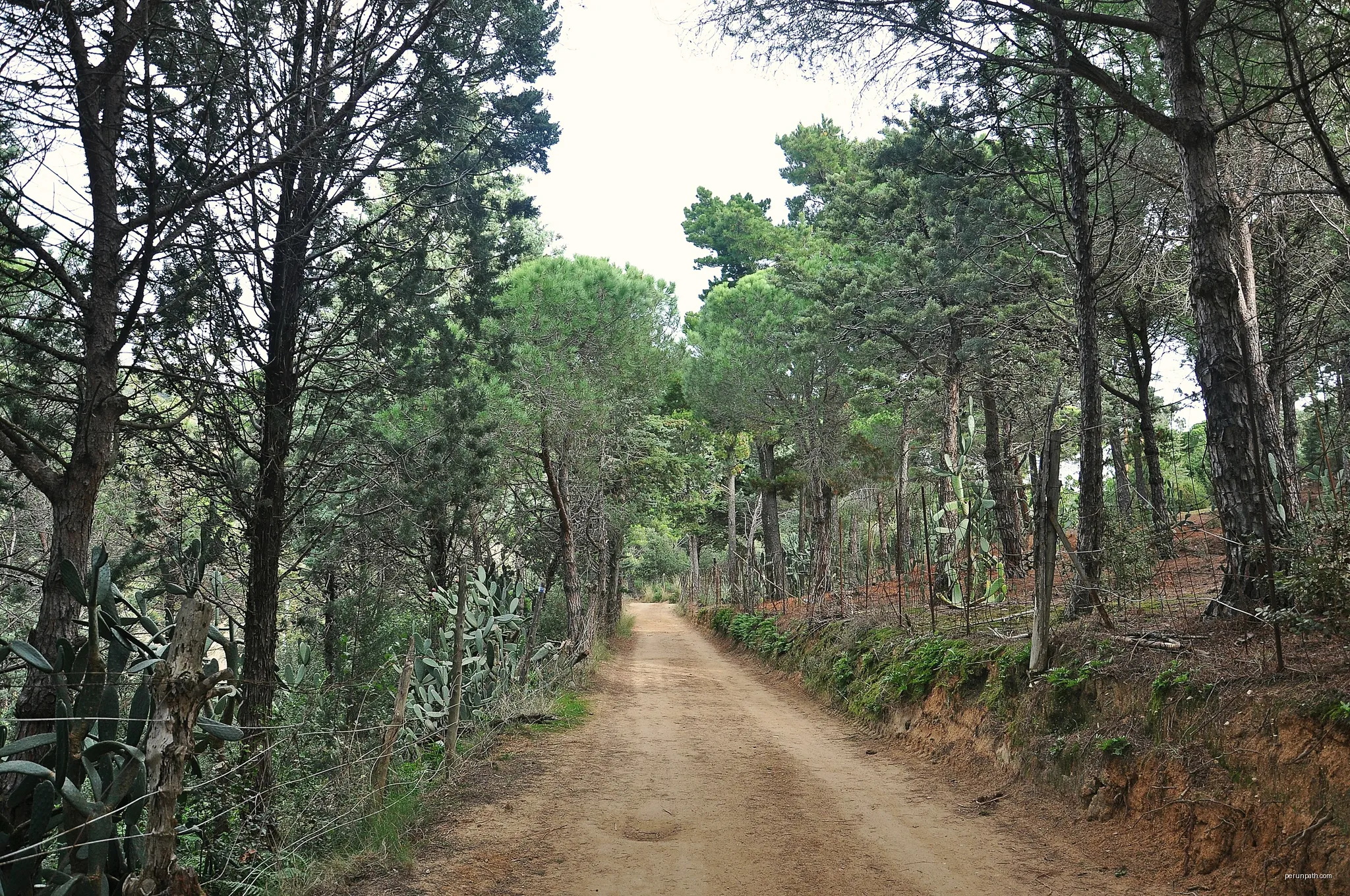 Ruta de les Torretes