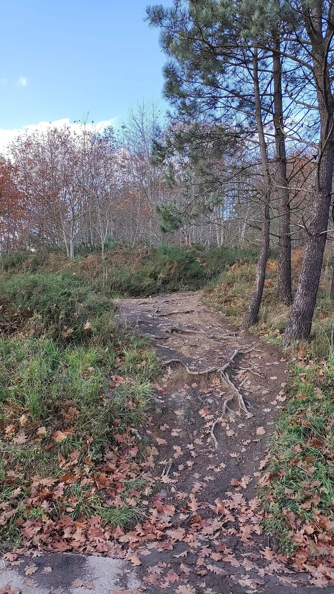 XCO Monte Avril