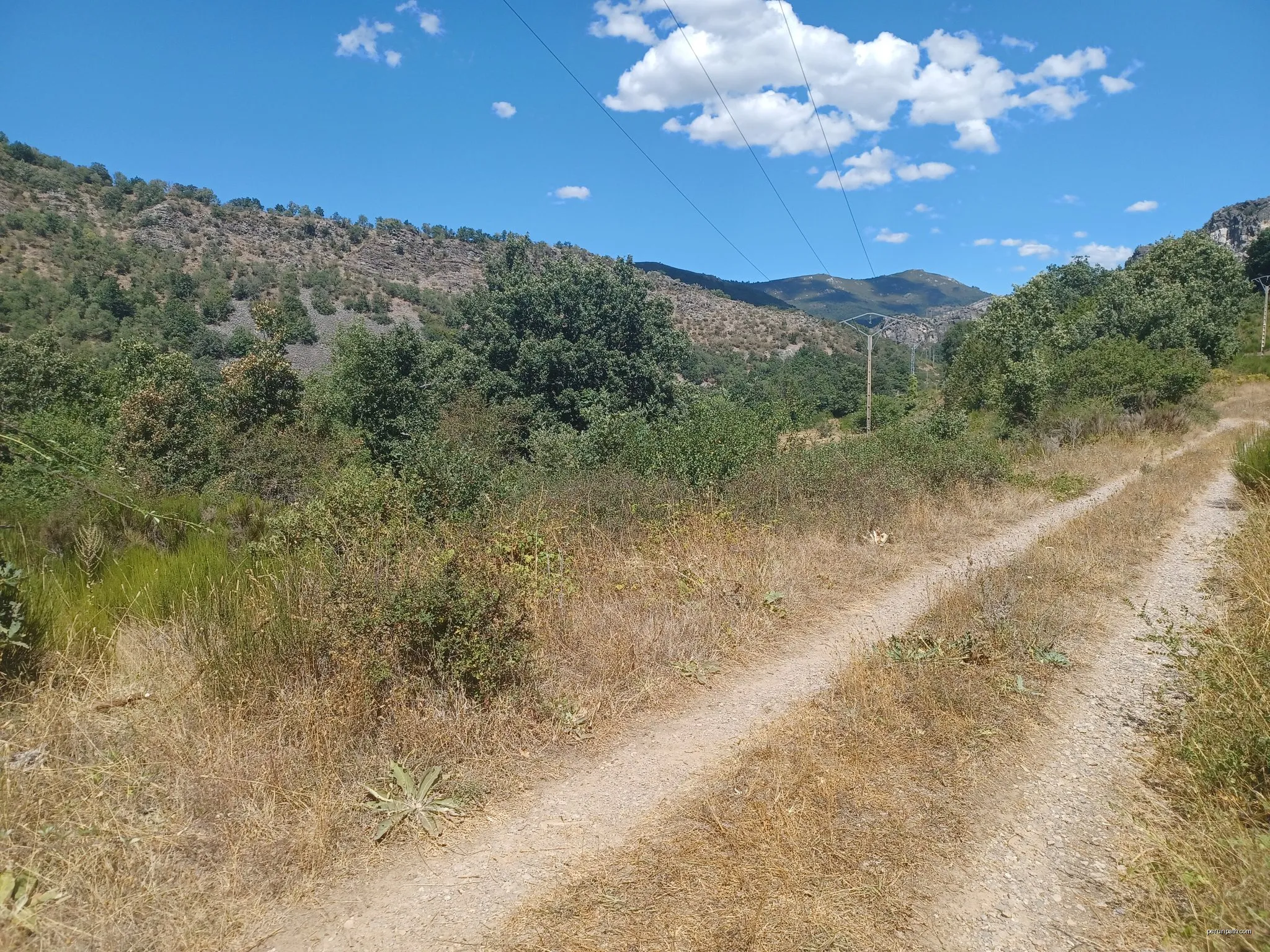Camino Real