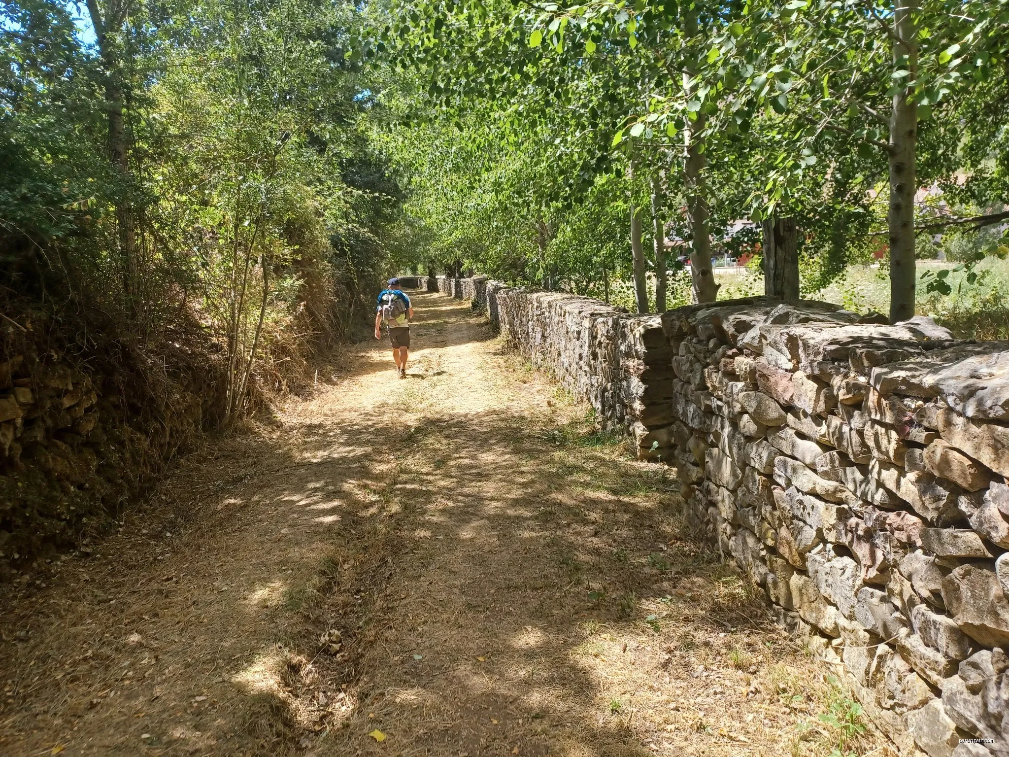 Camino Real