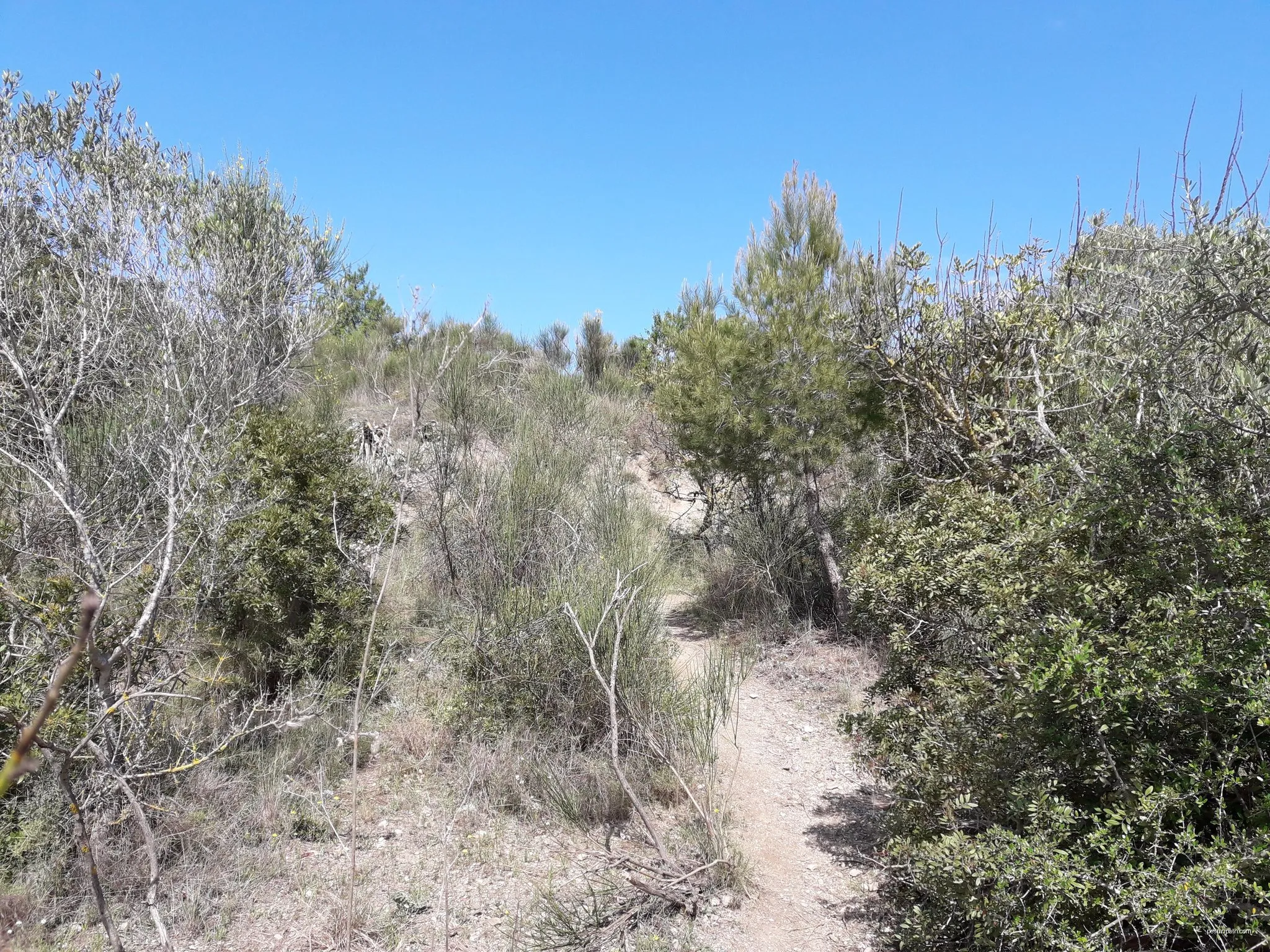 Del solell a l'obaga. Collserola