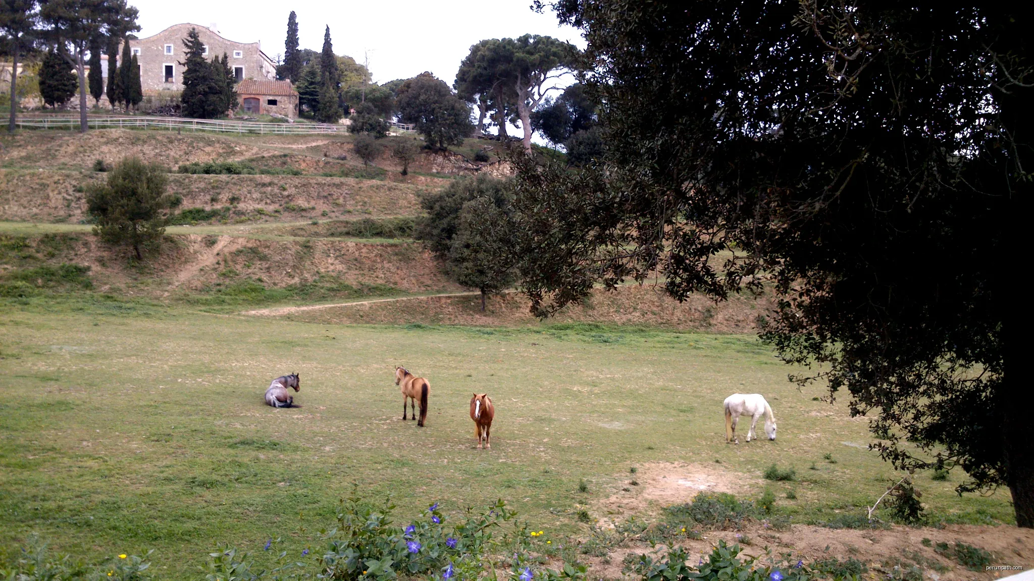 Can Riera de Sant Mateu | Autor: Mmorell | Licencja: CC BY-SA 4.0 | Źródło: Wikimedia Commons