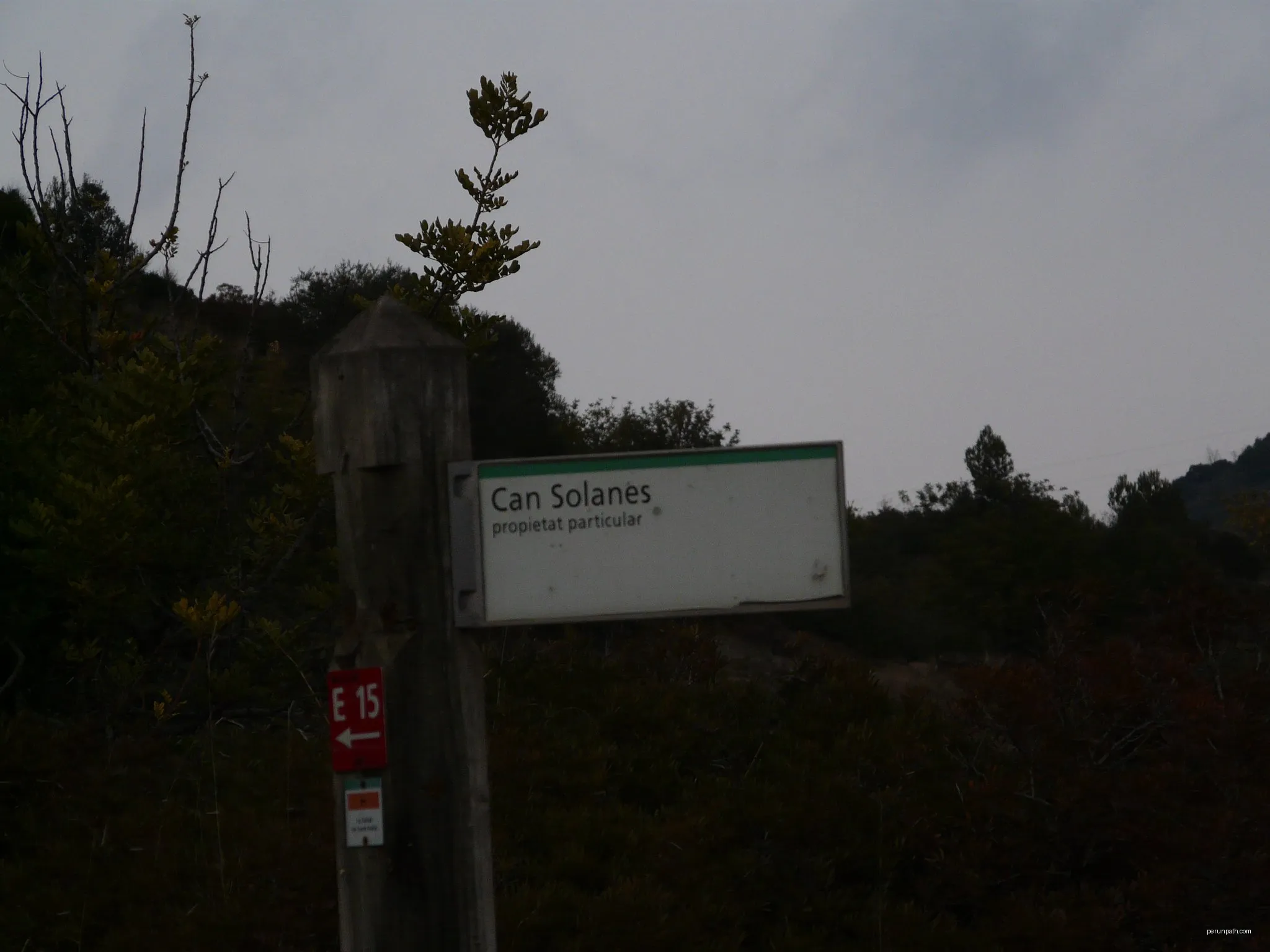 Collserola des de Sant Just