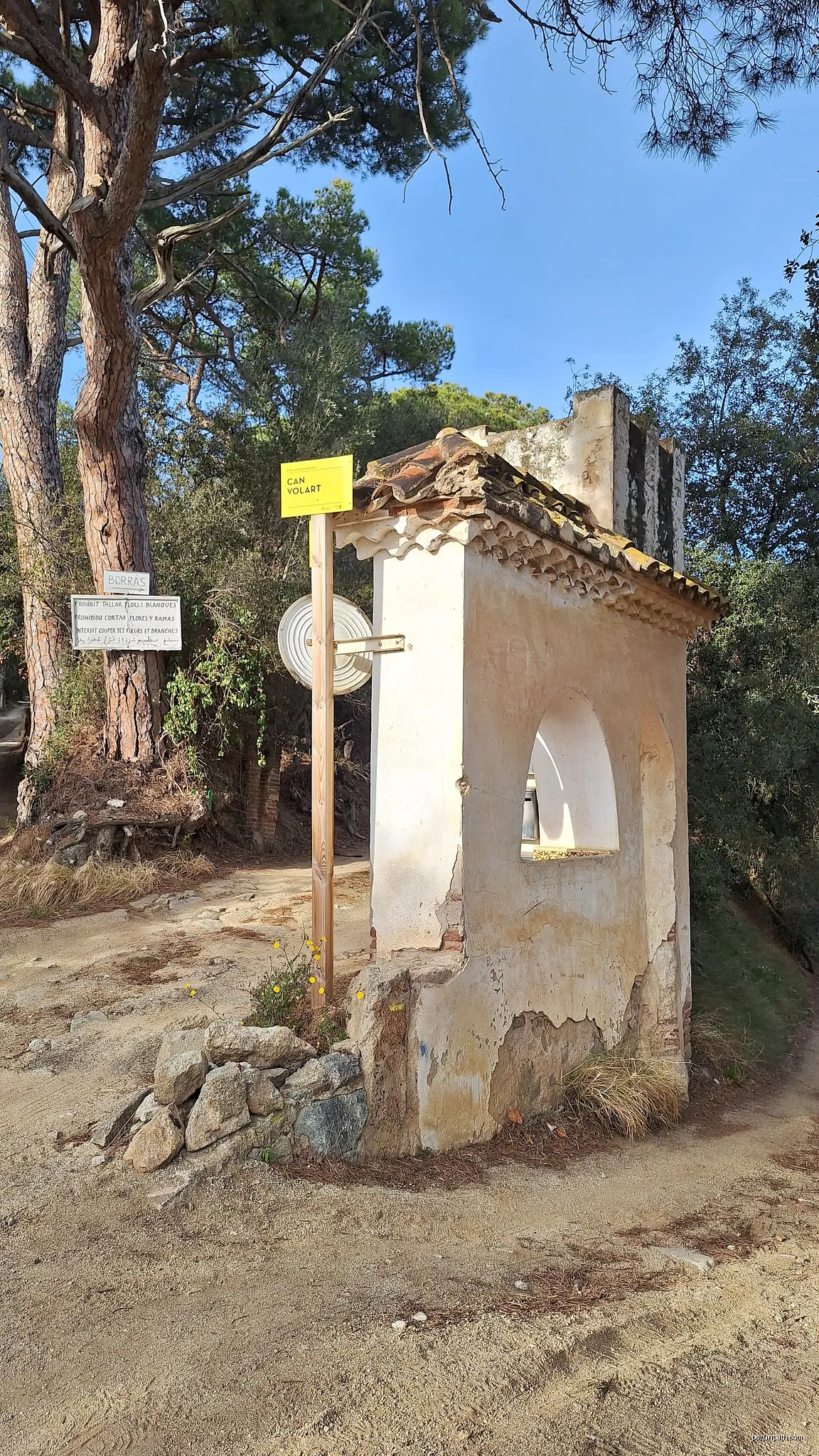 Corriol del Bosc