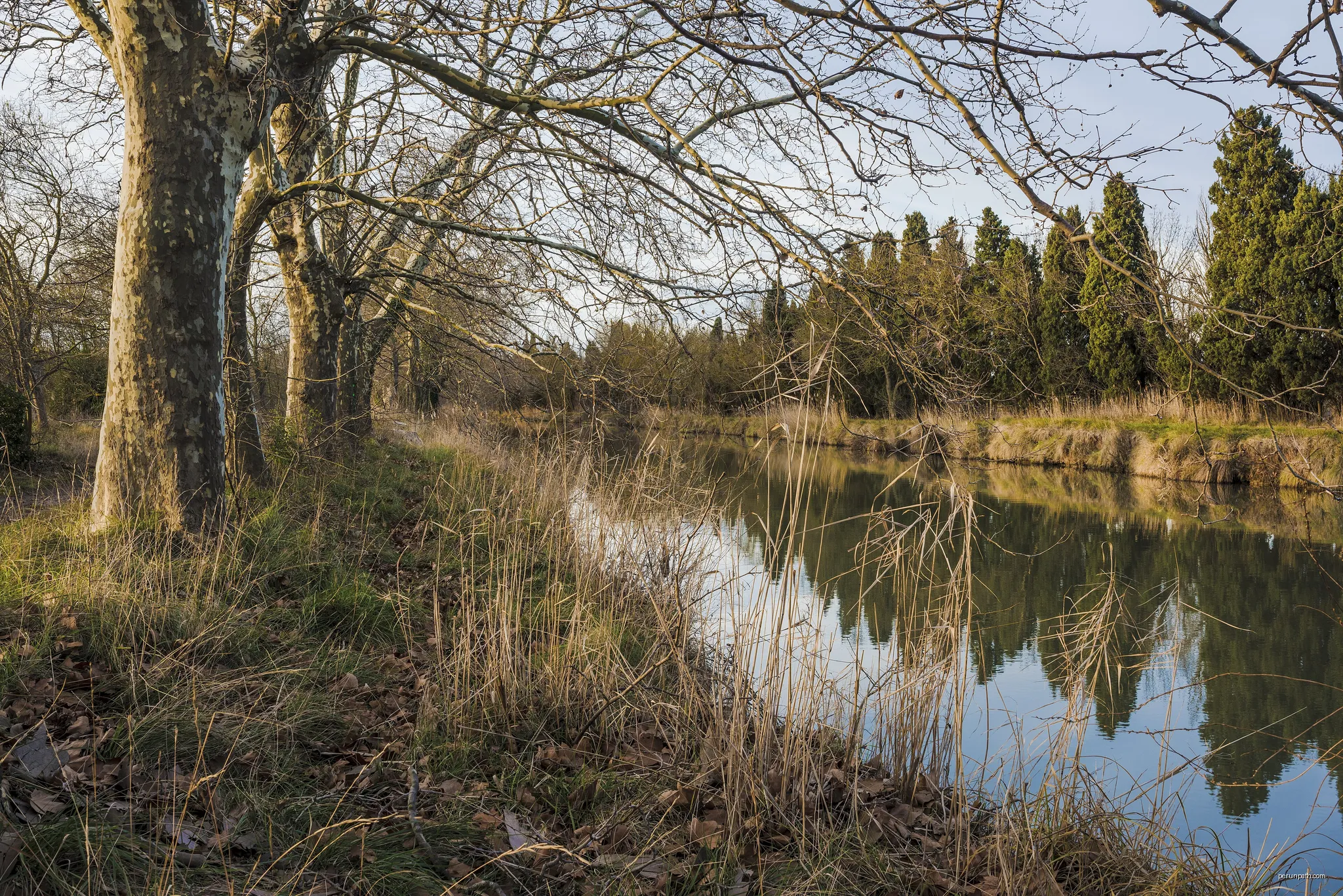 Canal