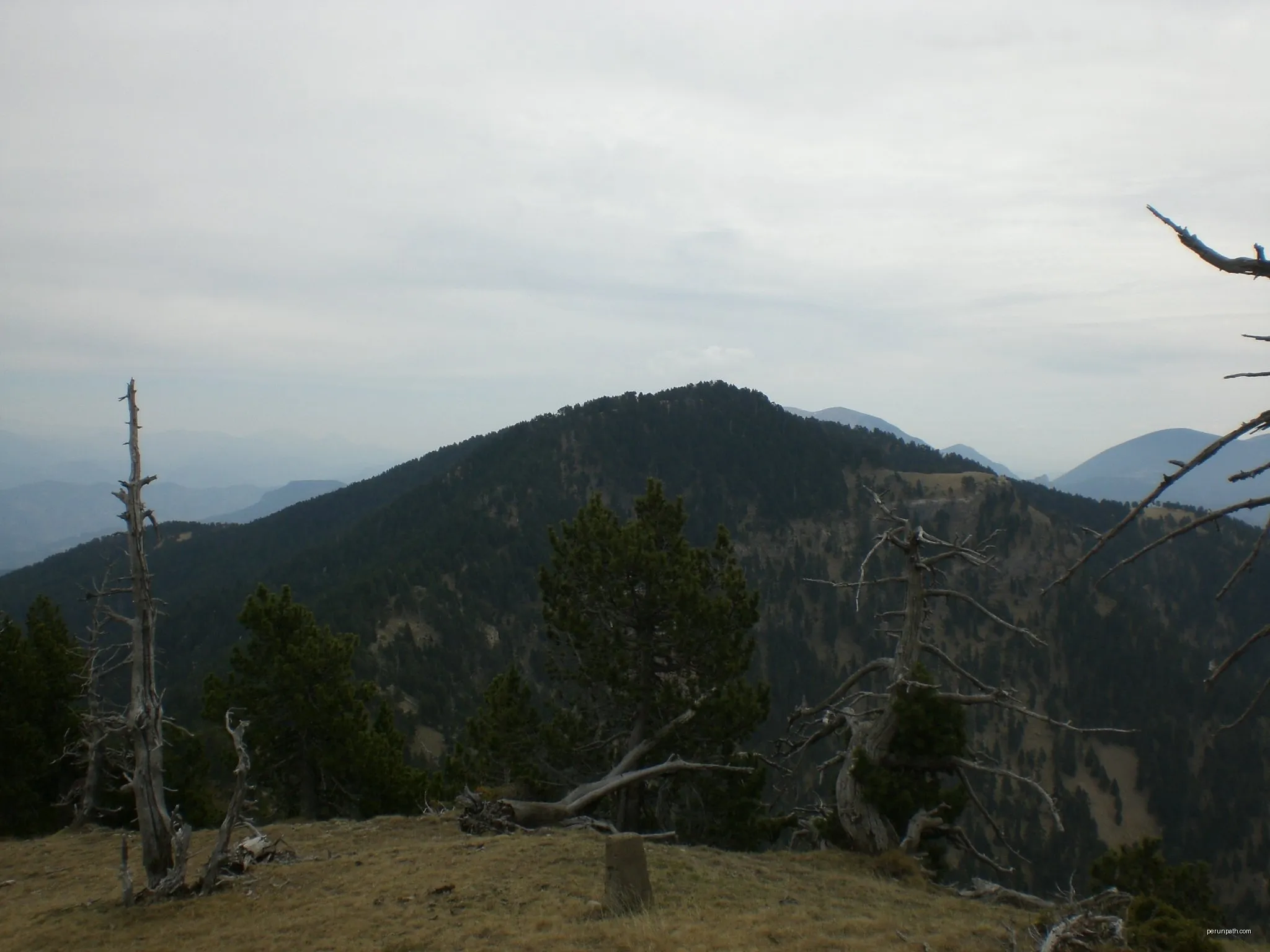 Serra del Verd