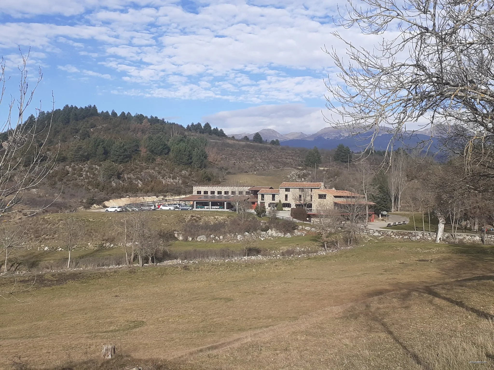 TC181 Olià Ridolaina Nas