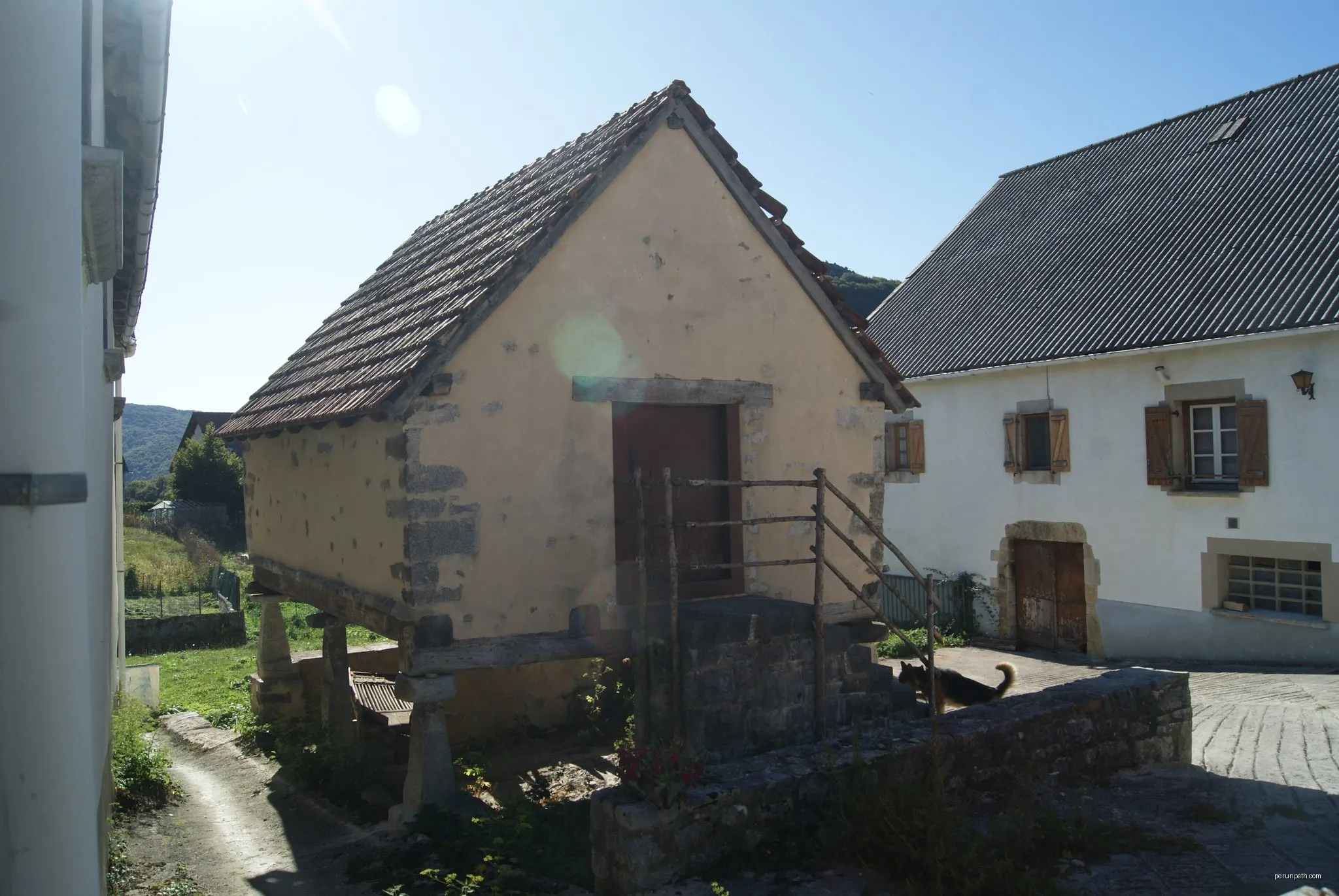 Sorginen bidea