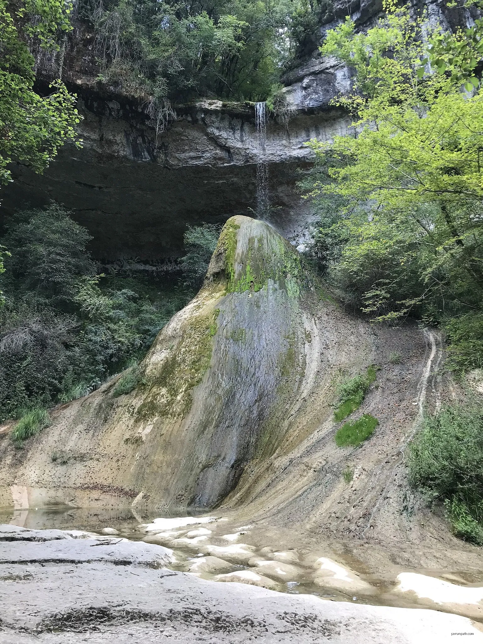 Les Rives Sauvages du Rhône
