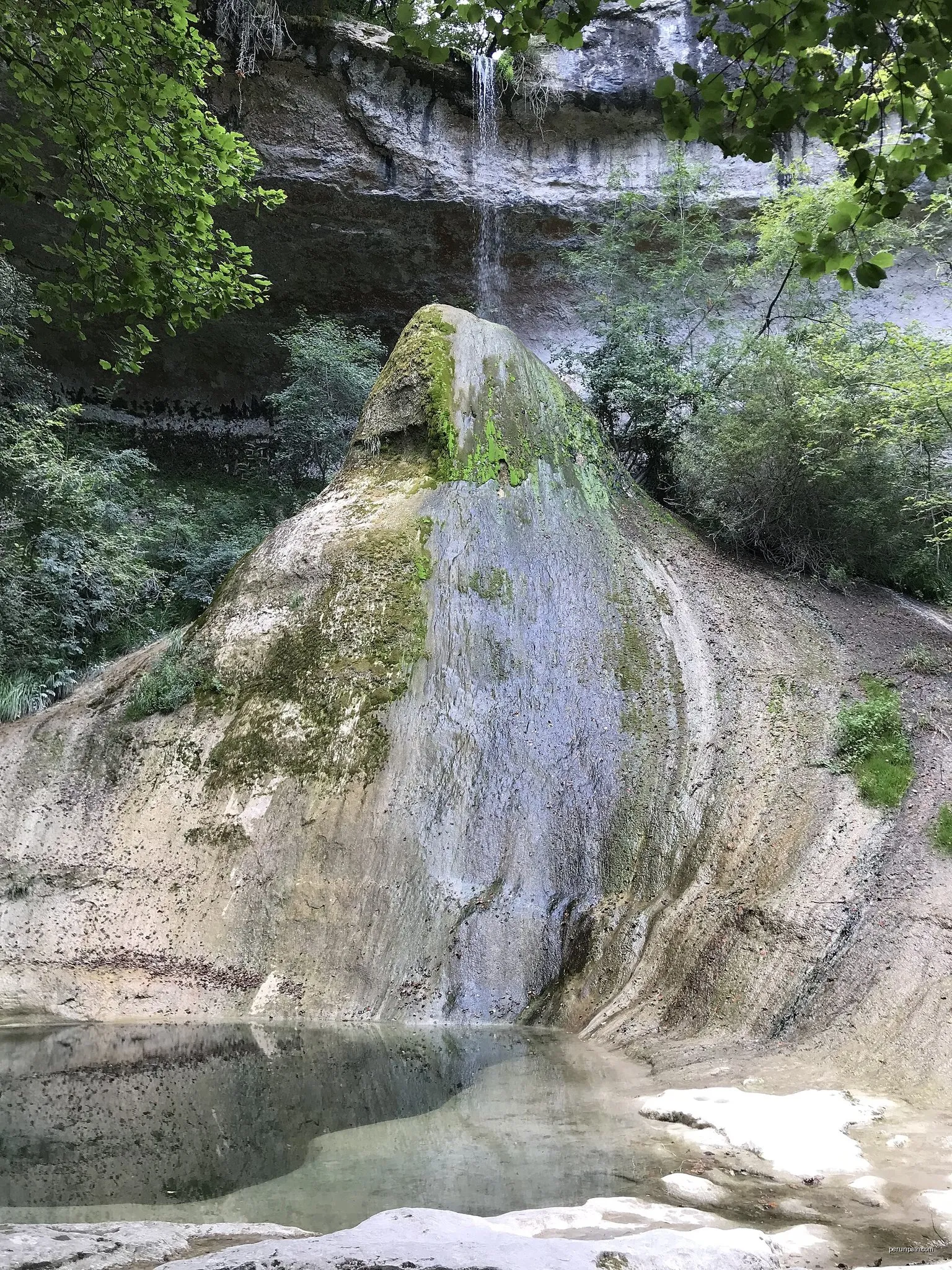 Les Rives Sauvages du Rhône