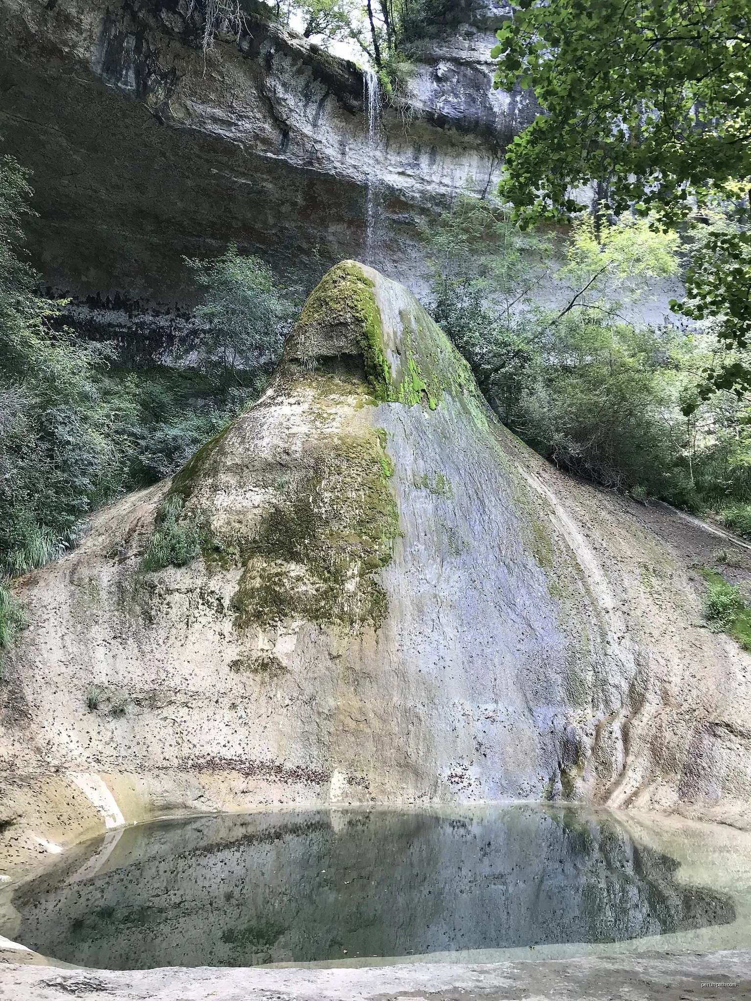 Les Rives Sauvages du Rhône