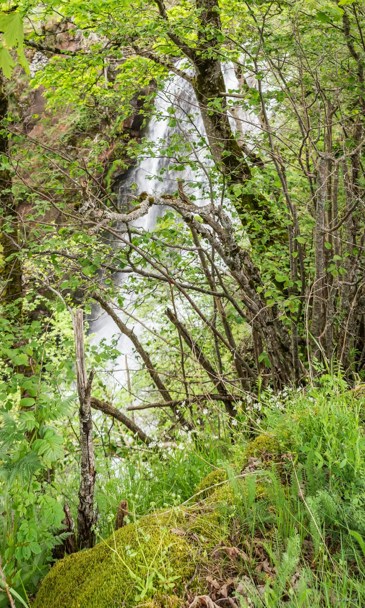 Le Sentier des Cascades