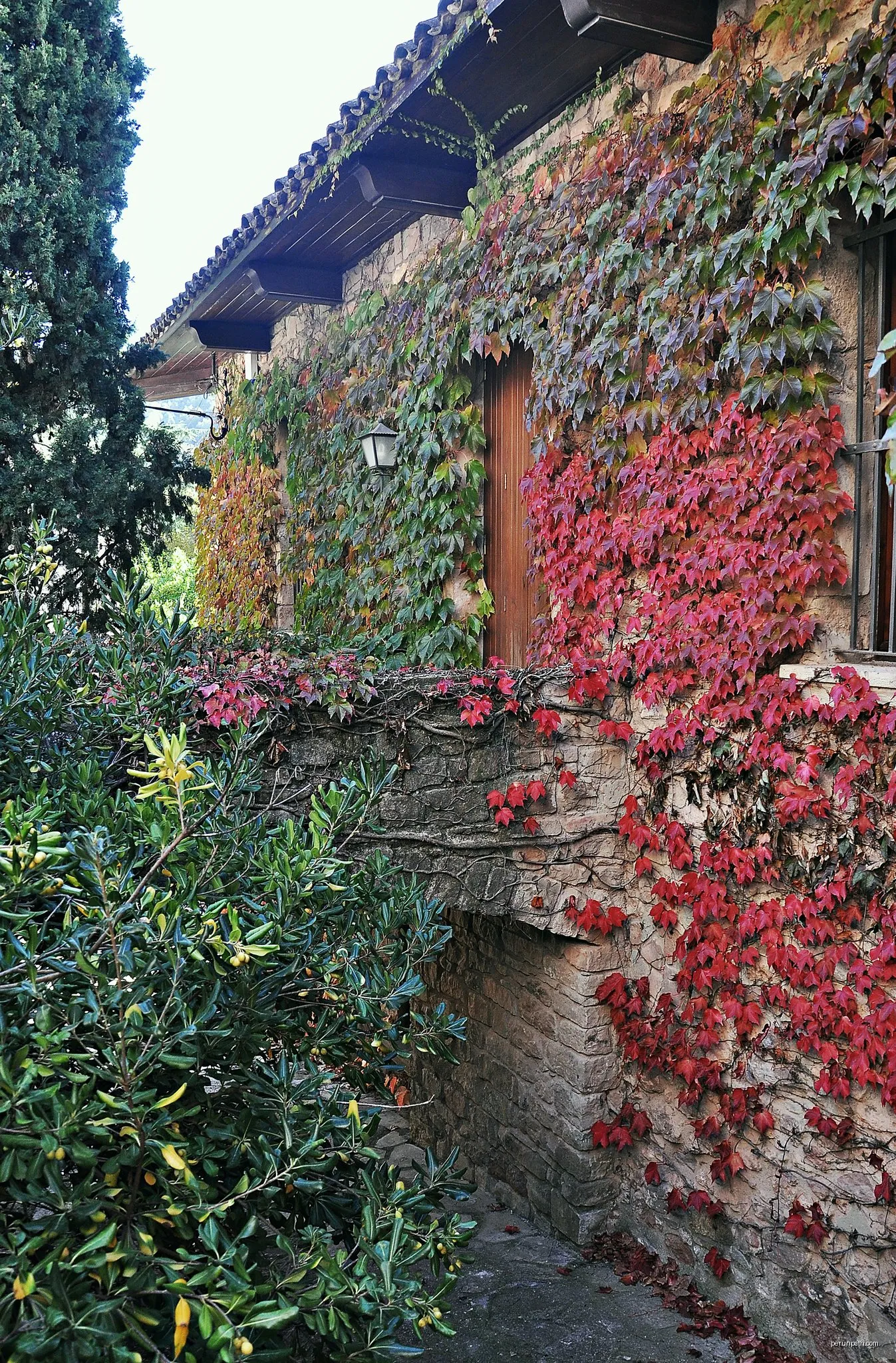 Cova de Mura