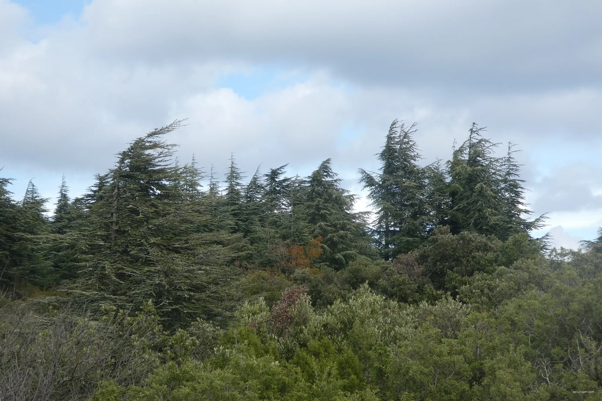 Sentier du Portalas