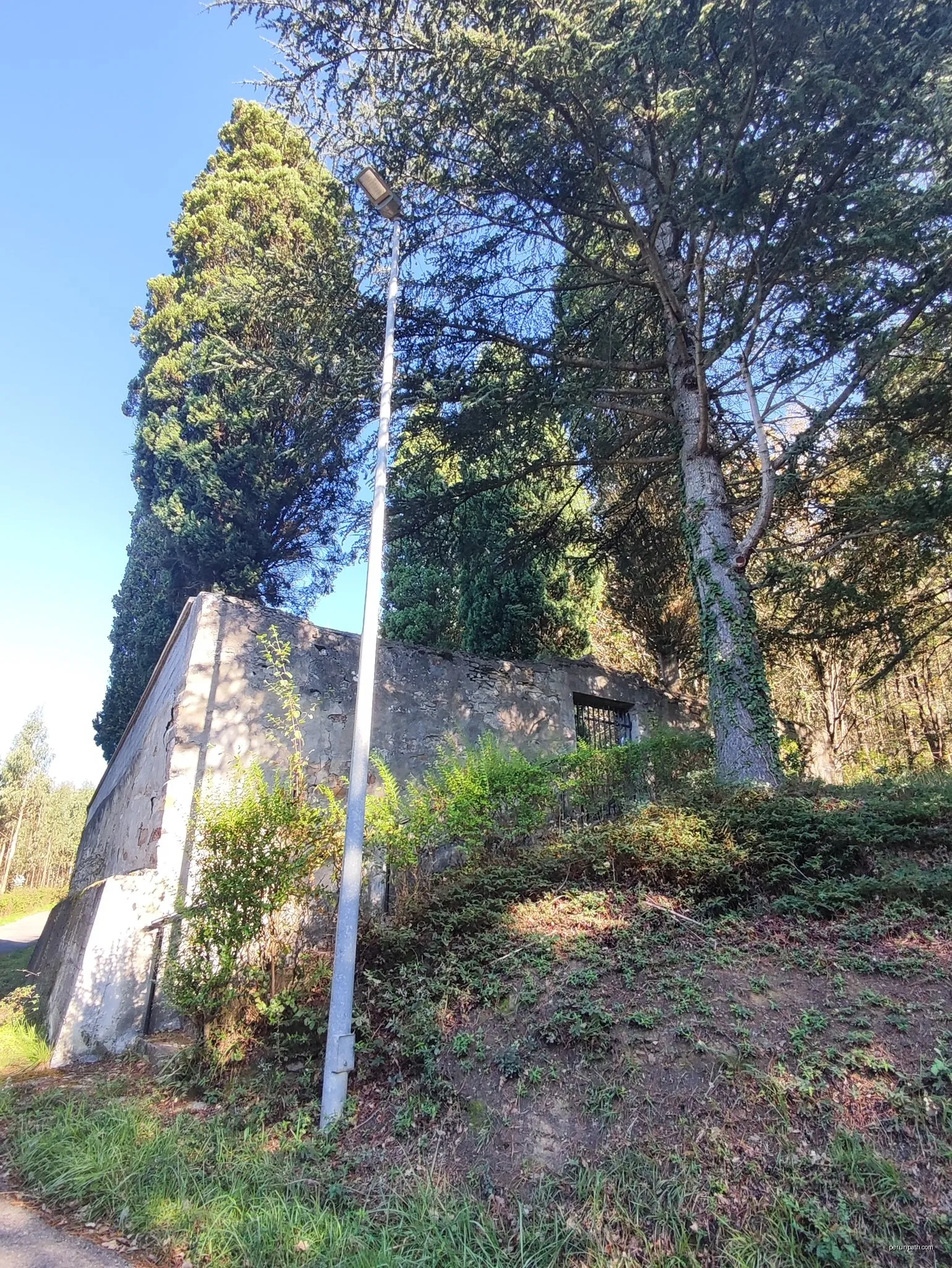 Zirkular Aspaltza