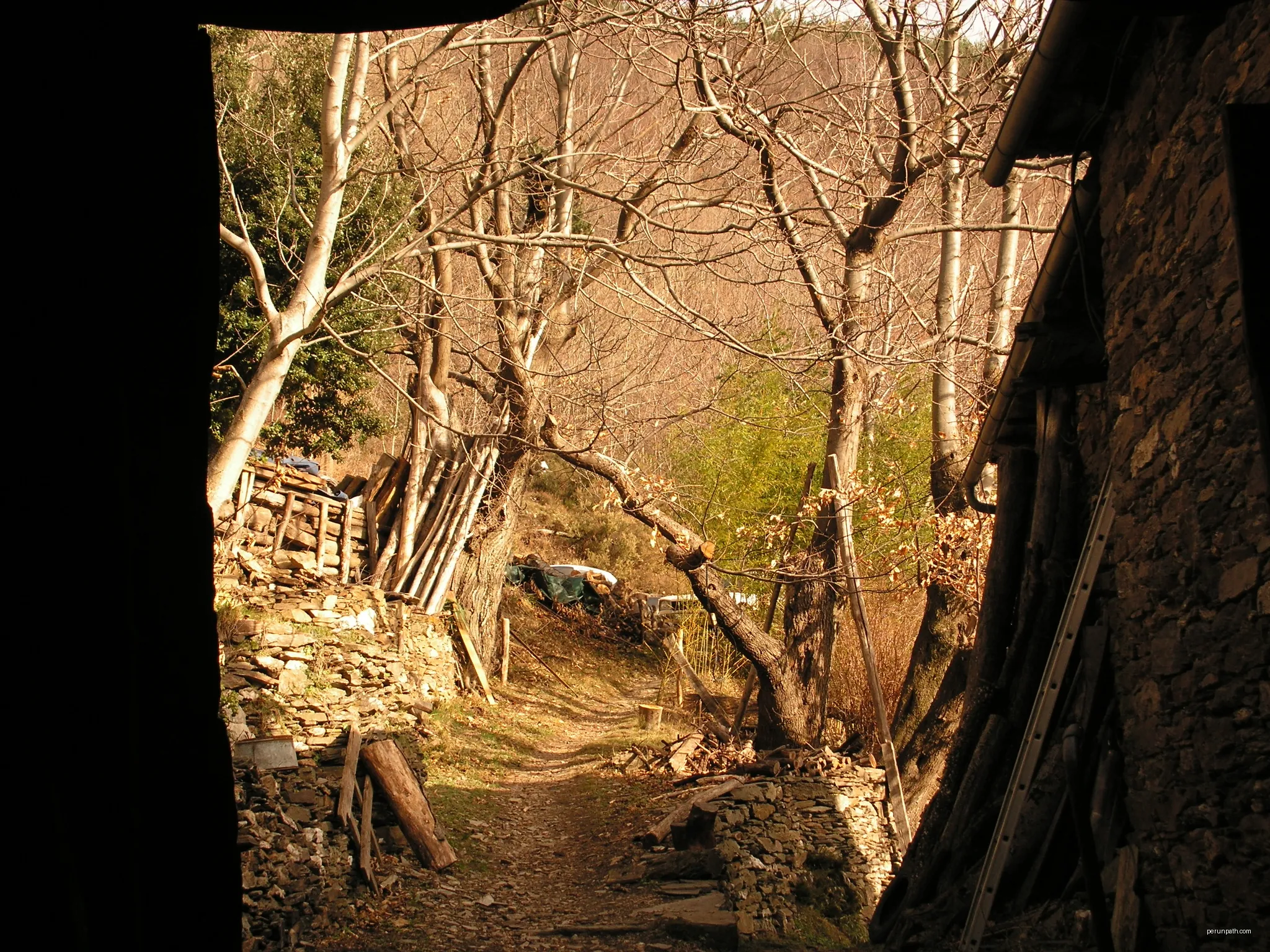 Le pont des chèvres