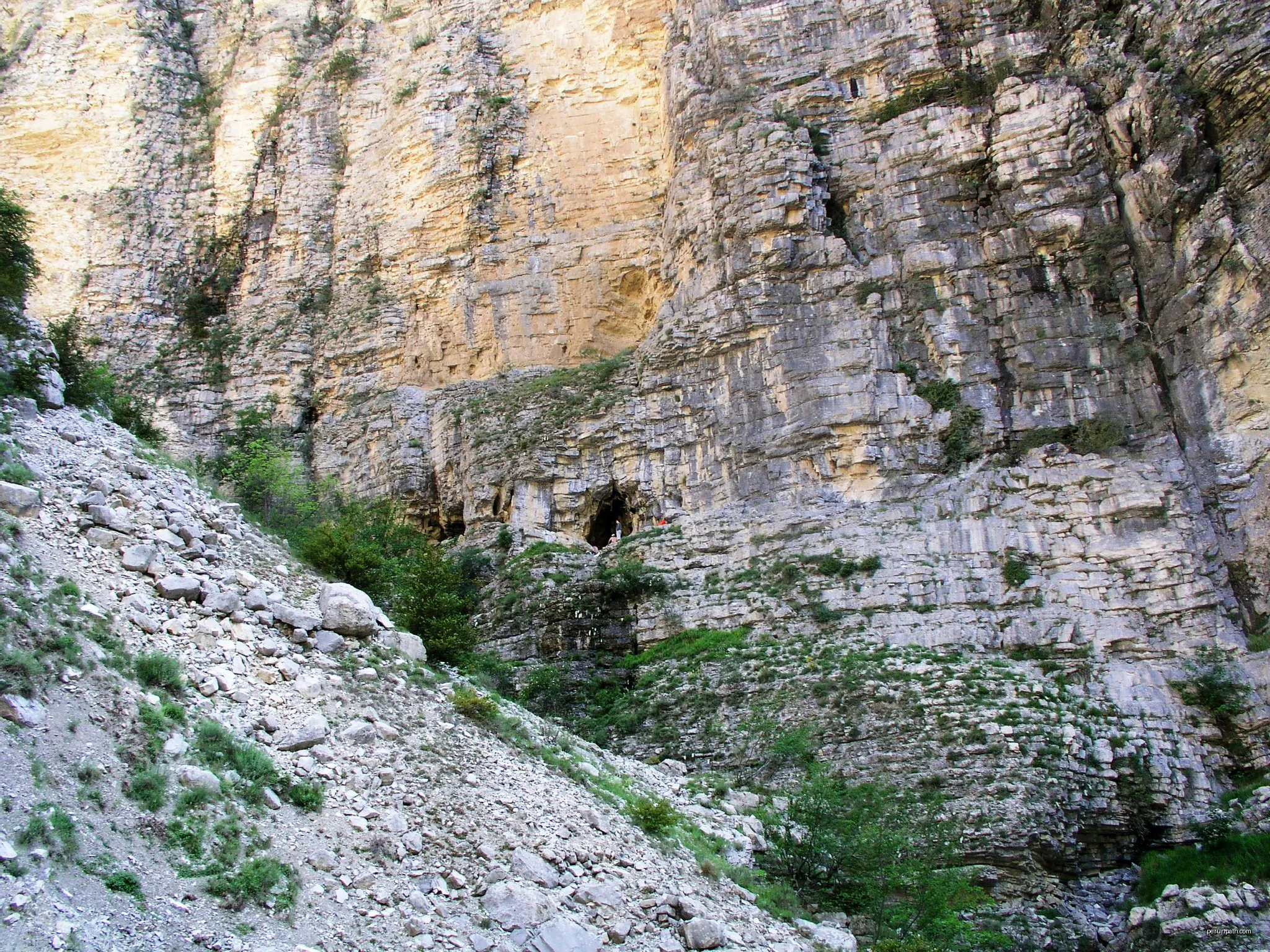 Les Chamois