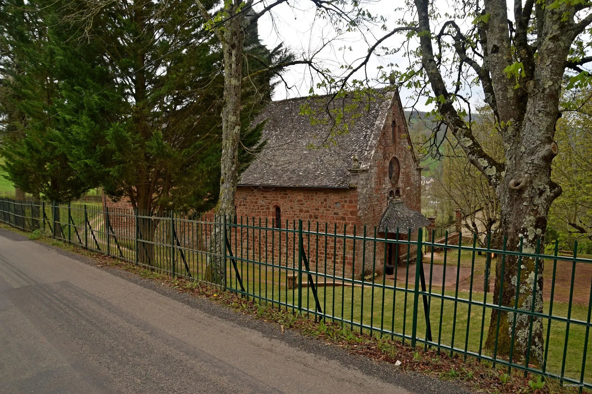 De la Vigne à la Forêt