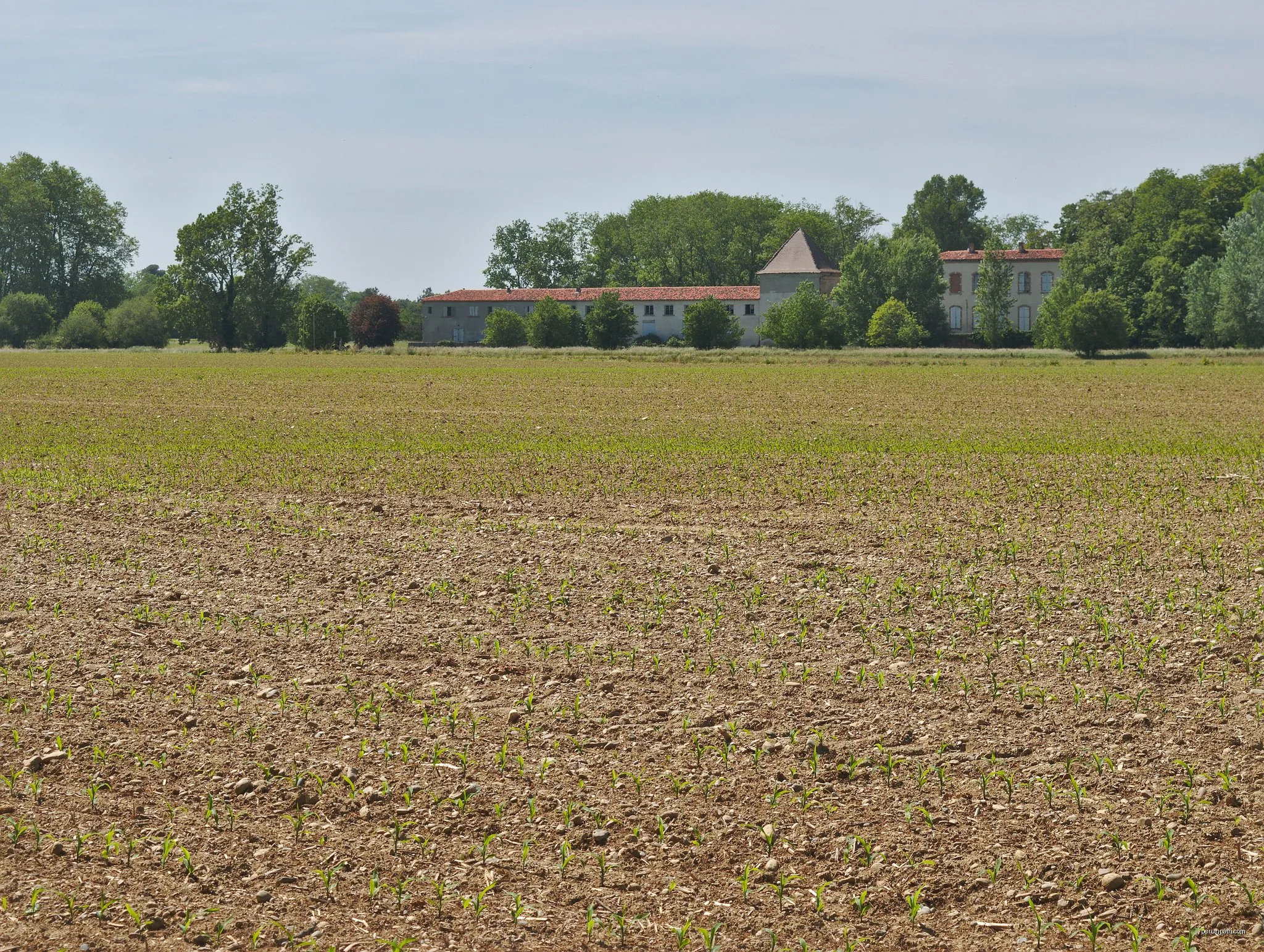 Sentier de la Confluence