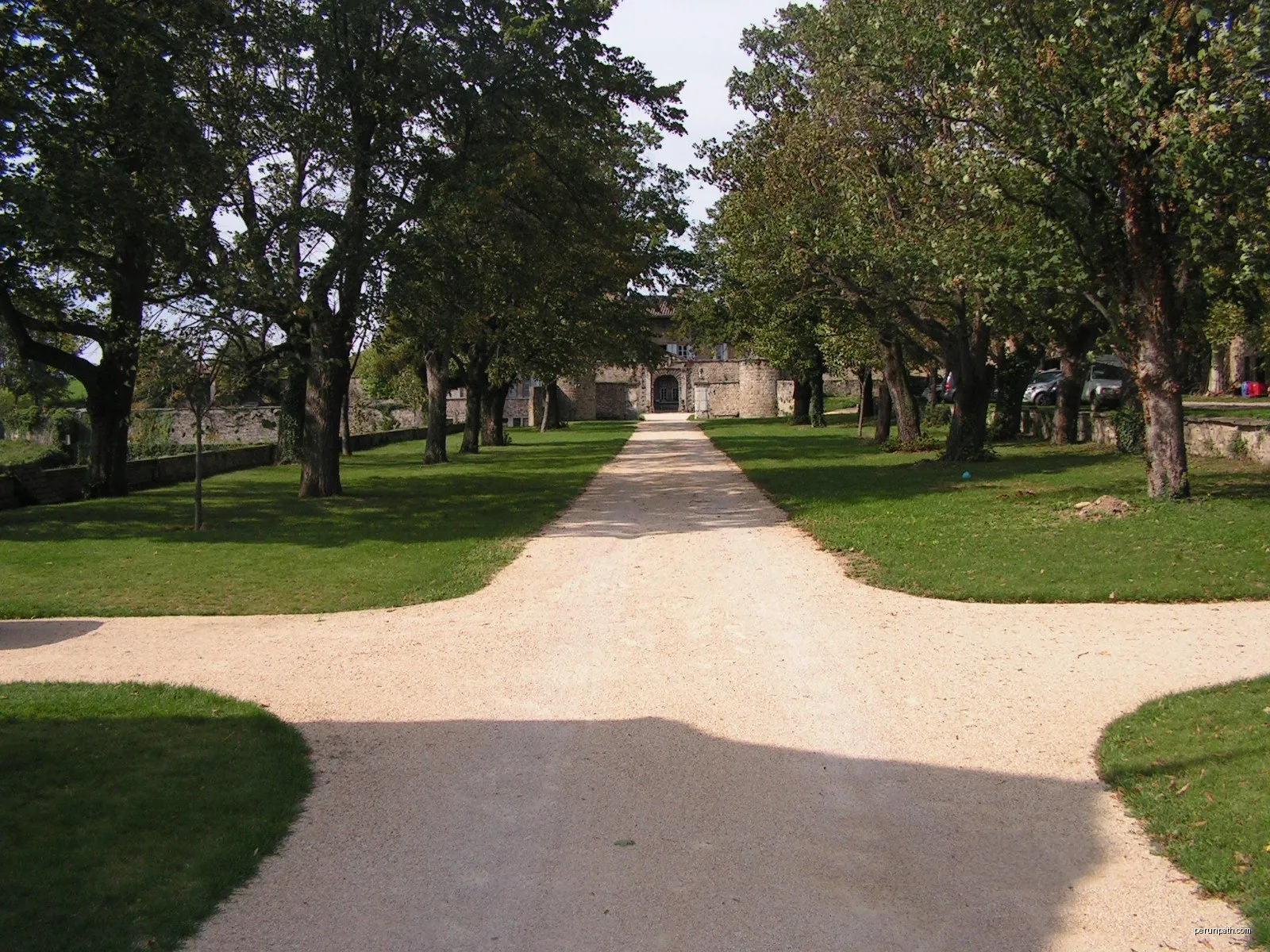 Les Vignes