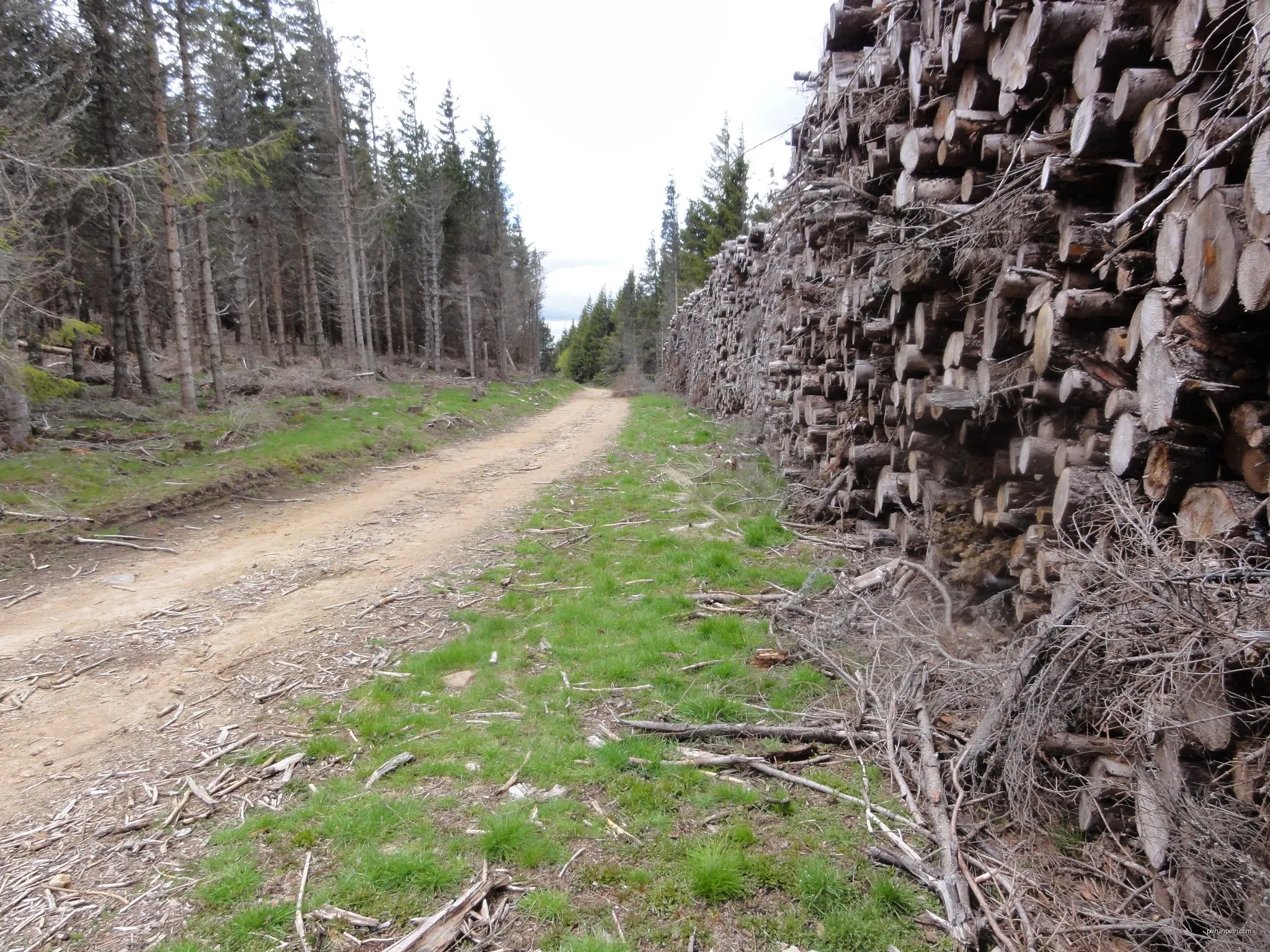 Chemin de Malevrère