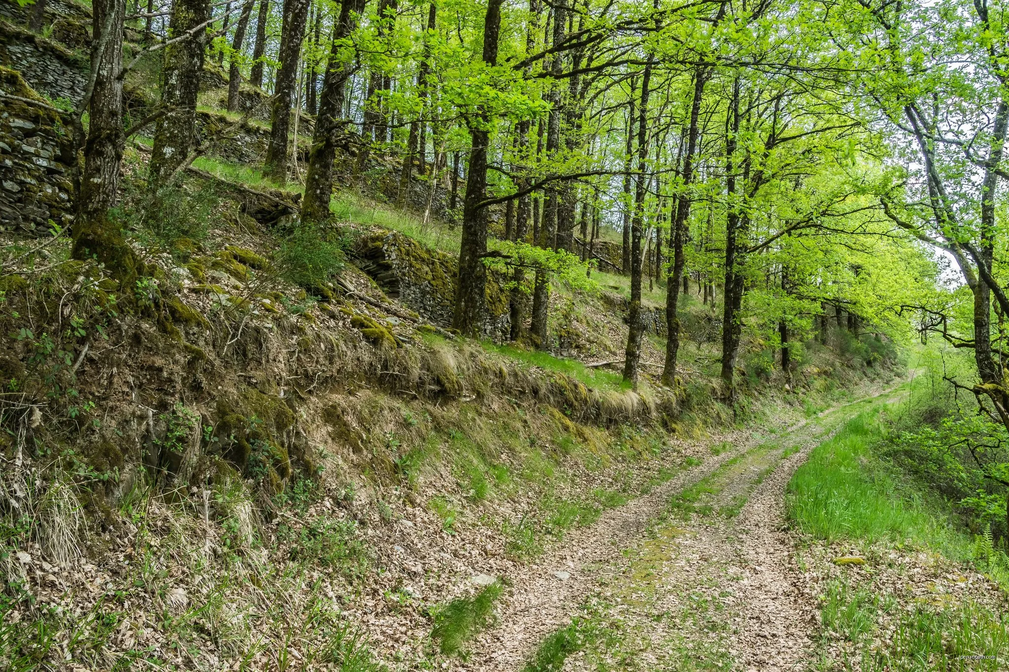 Le Tour du Combayre