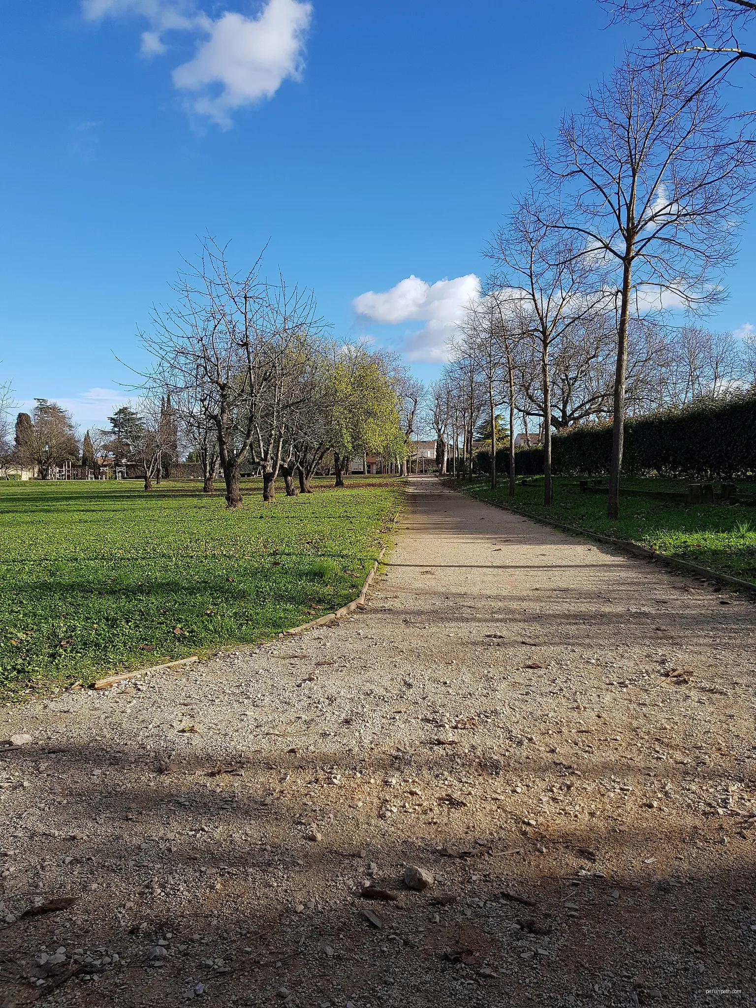 Vue d'un chemin du parc de Saint-Maximin-la-Sainte-Baume, département du Var, France | Autor: Matis Roger | Licencja: CC0 | Źródło: Wikimedia Commons
