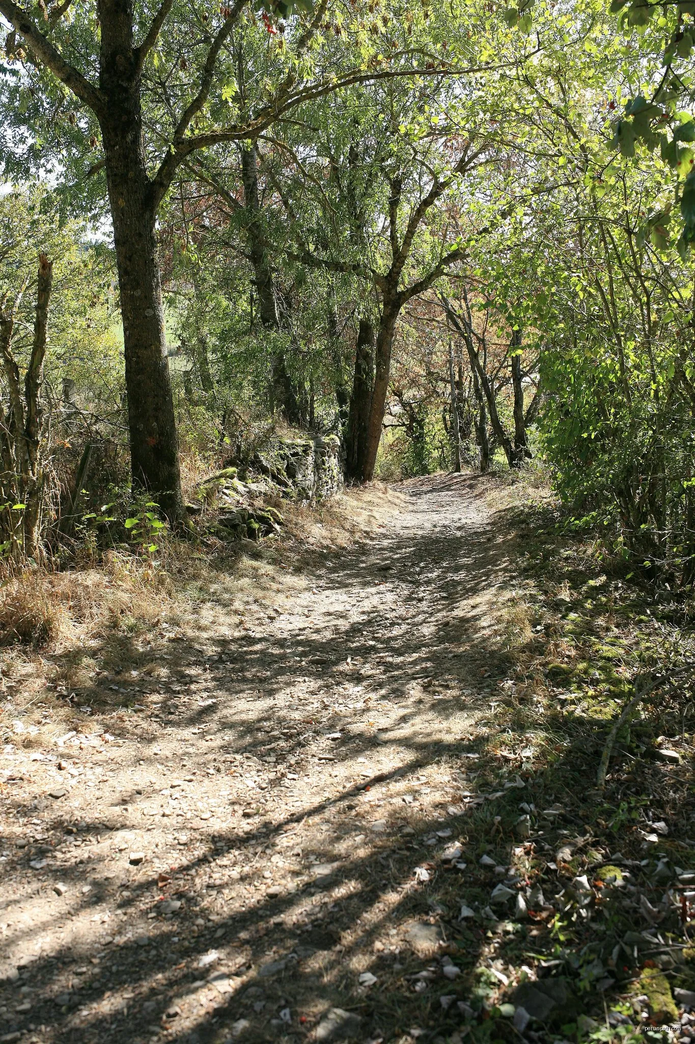 Les Hauts de Mornant