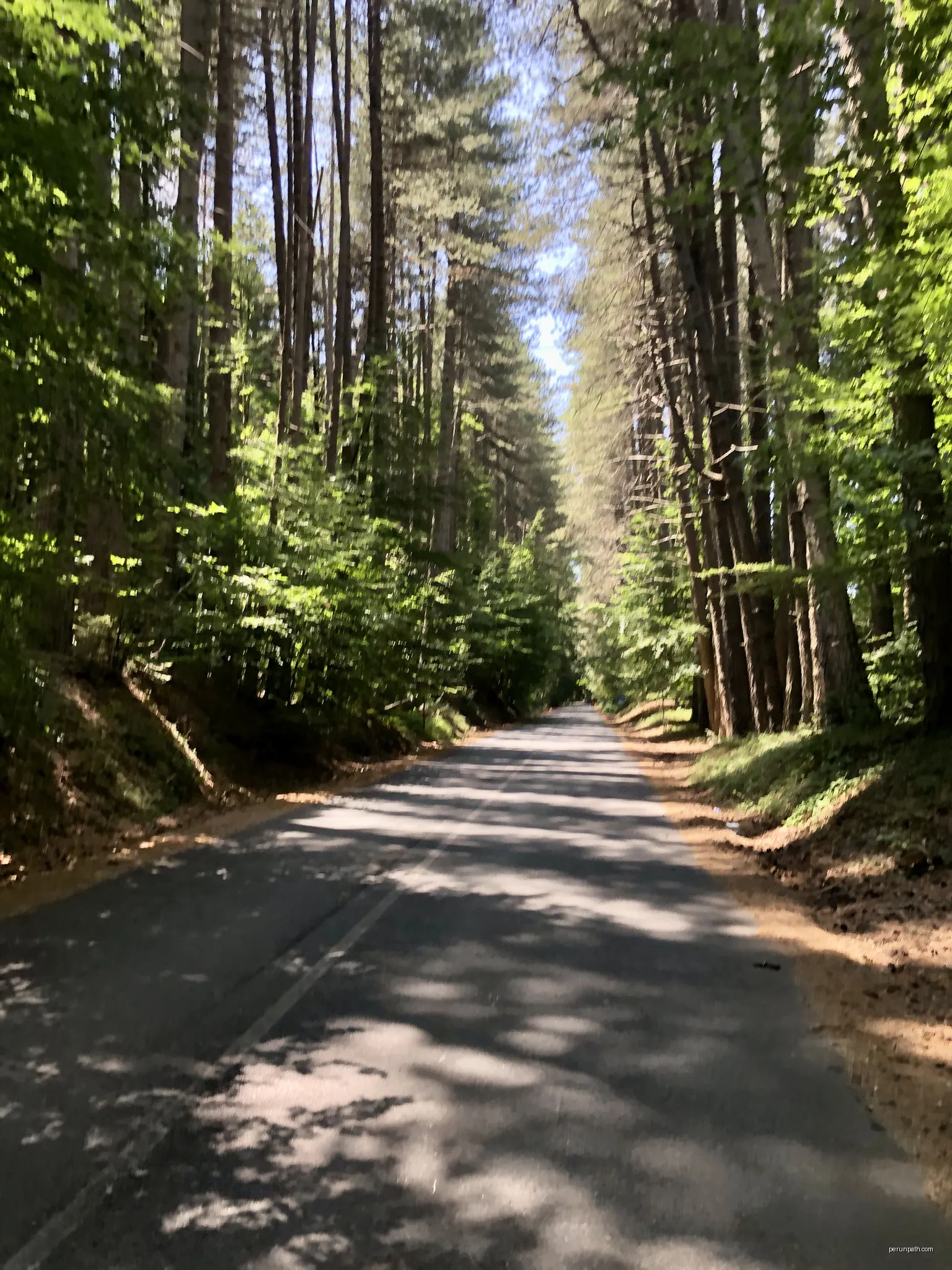 Ciclovia dei parchi della Calabria - Tratto da Canolo a Gambarie | Autor: Codas | Licencja: CC BY-SA 4.0 | Źródło: Wikimedia Commons
