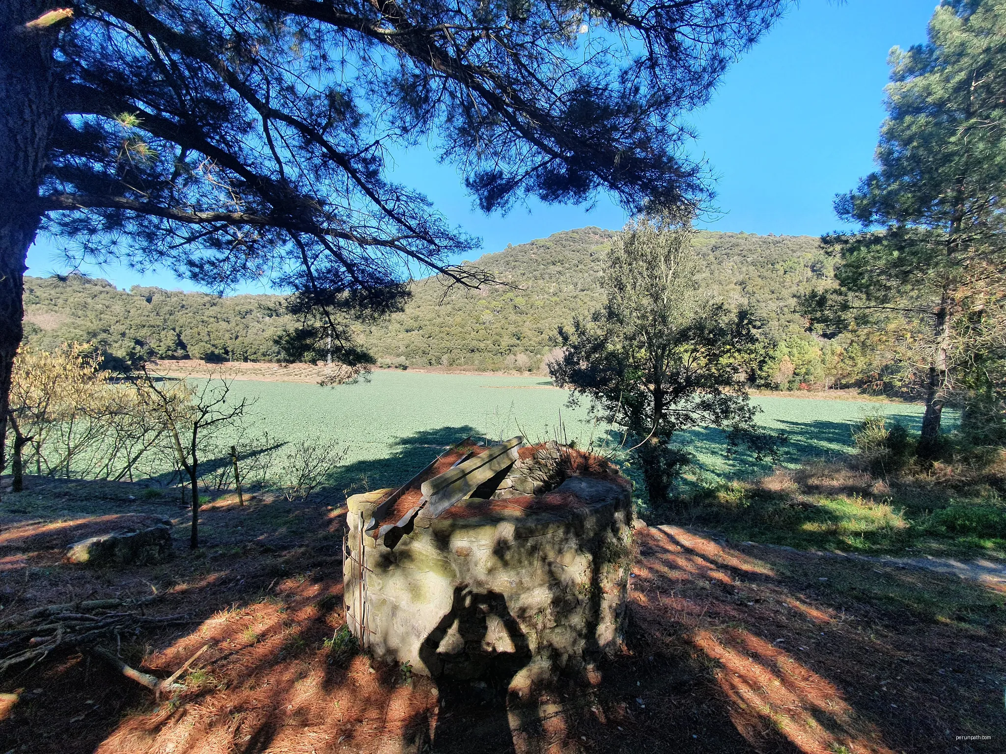 Clot de l'Omera, cràter dùn antic volcà, a Sant Martí de Llémena | Autor: Quelet | Licencja: CC BY-SA 3.0 | Źródło: Wikimedia Commons