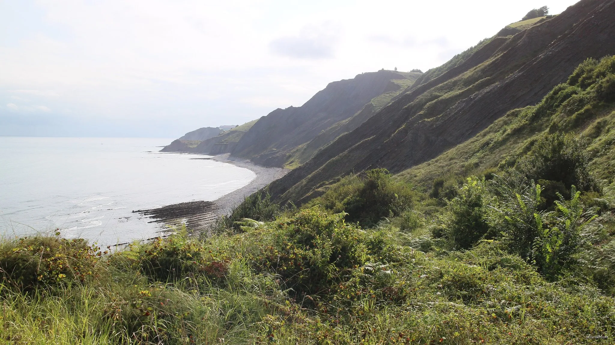 Elorriaga
