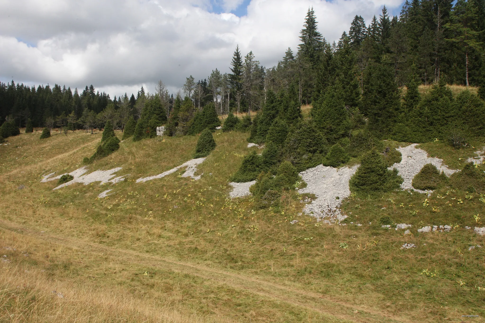 Vue de Combe Noire, creux à froid dans la forêt de Mignovillard (Jura). | Autor: Pmau | Licencja: CC BY-SA 4.0 | Źródło: Wikimedia Commons